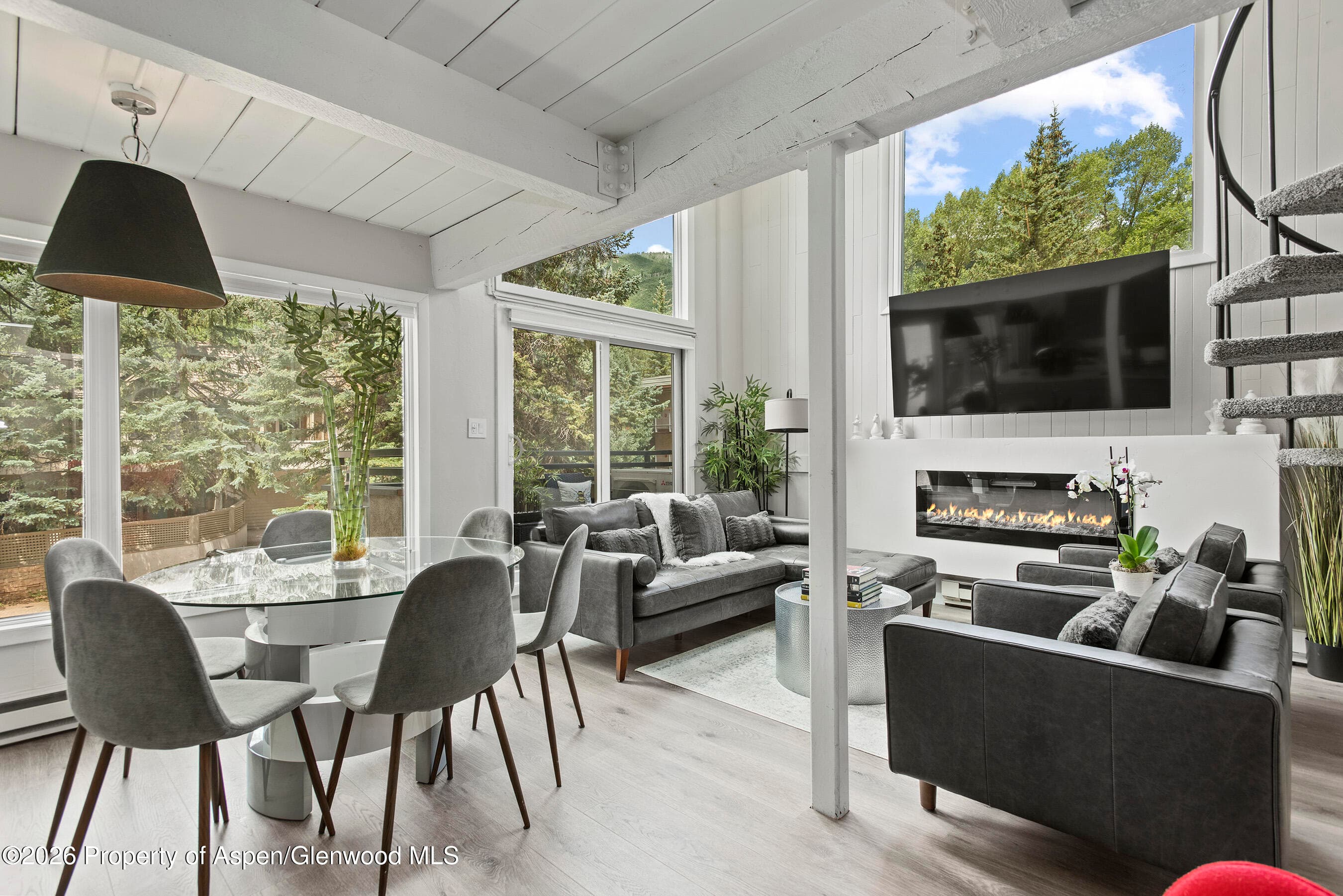1024 E Cooper Avenue 2, Aspen, CO 81611 - Photo 8