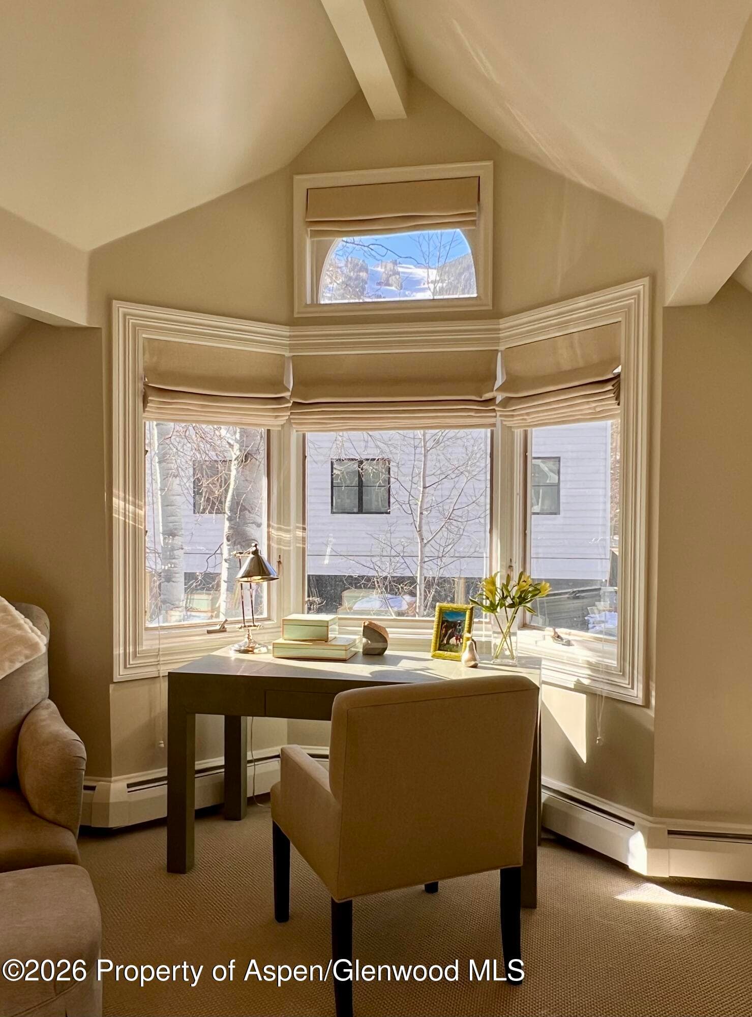 215 W Bleeker Street, Aspen, CO 81611 - Photo 28