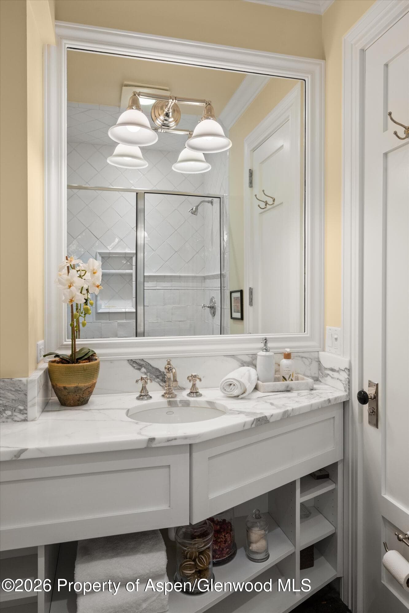 215 W Bleeker Street, Aspen, CO 81611 - Photo 23