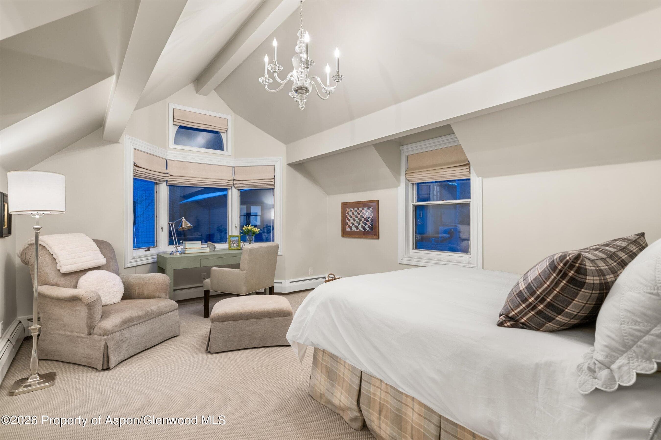 215 W Bleeker Street, Aspen, CO 81611 - Photo 24