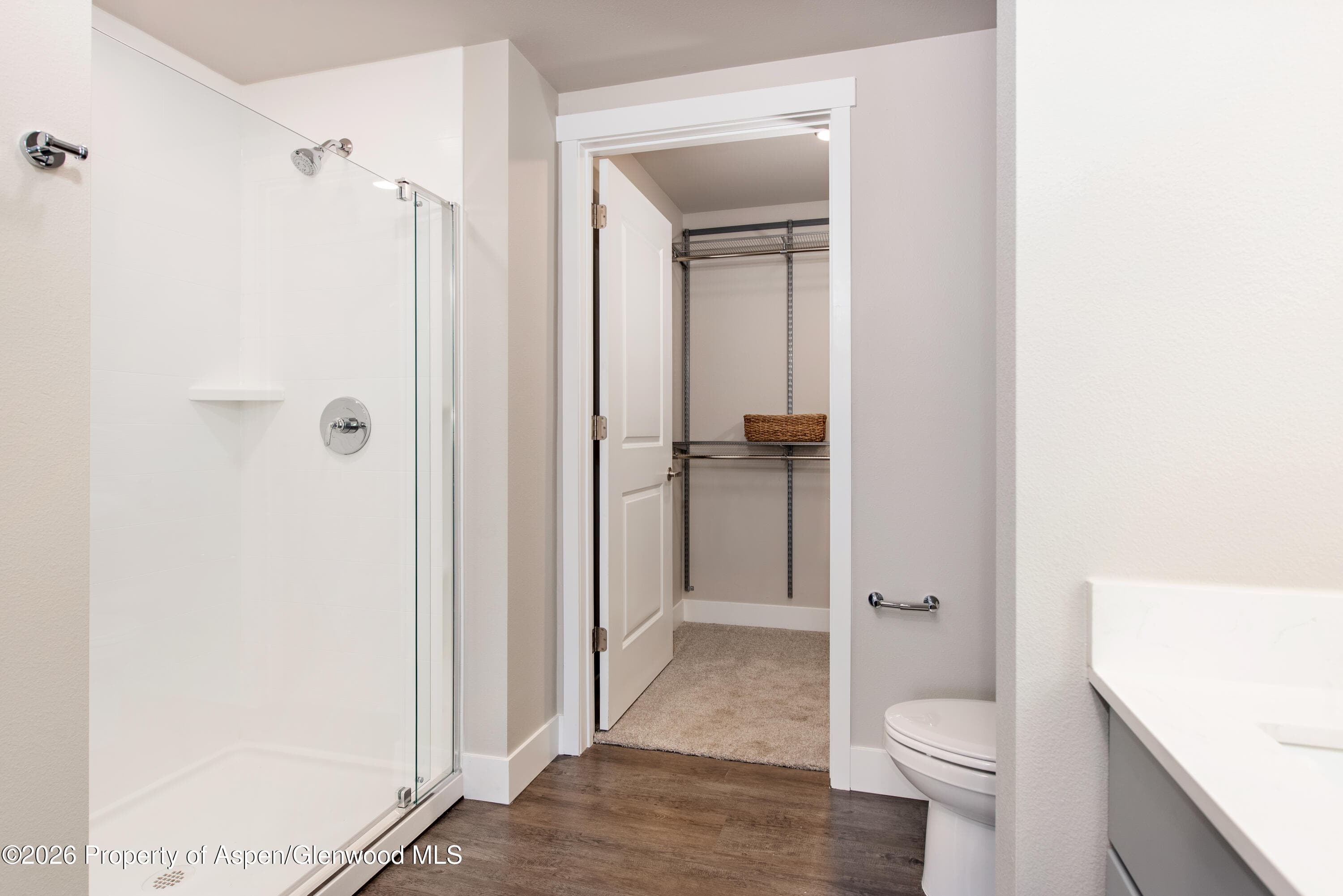 253 Wulfsohn Road 319, Glenwood Springs, CO 81601 - Photo 22