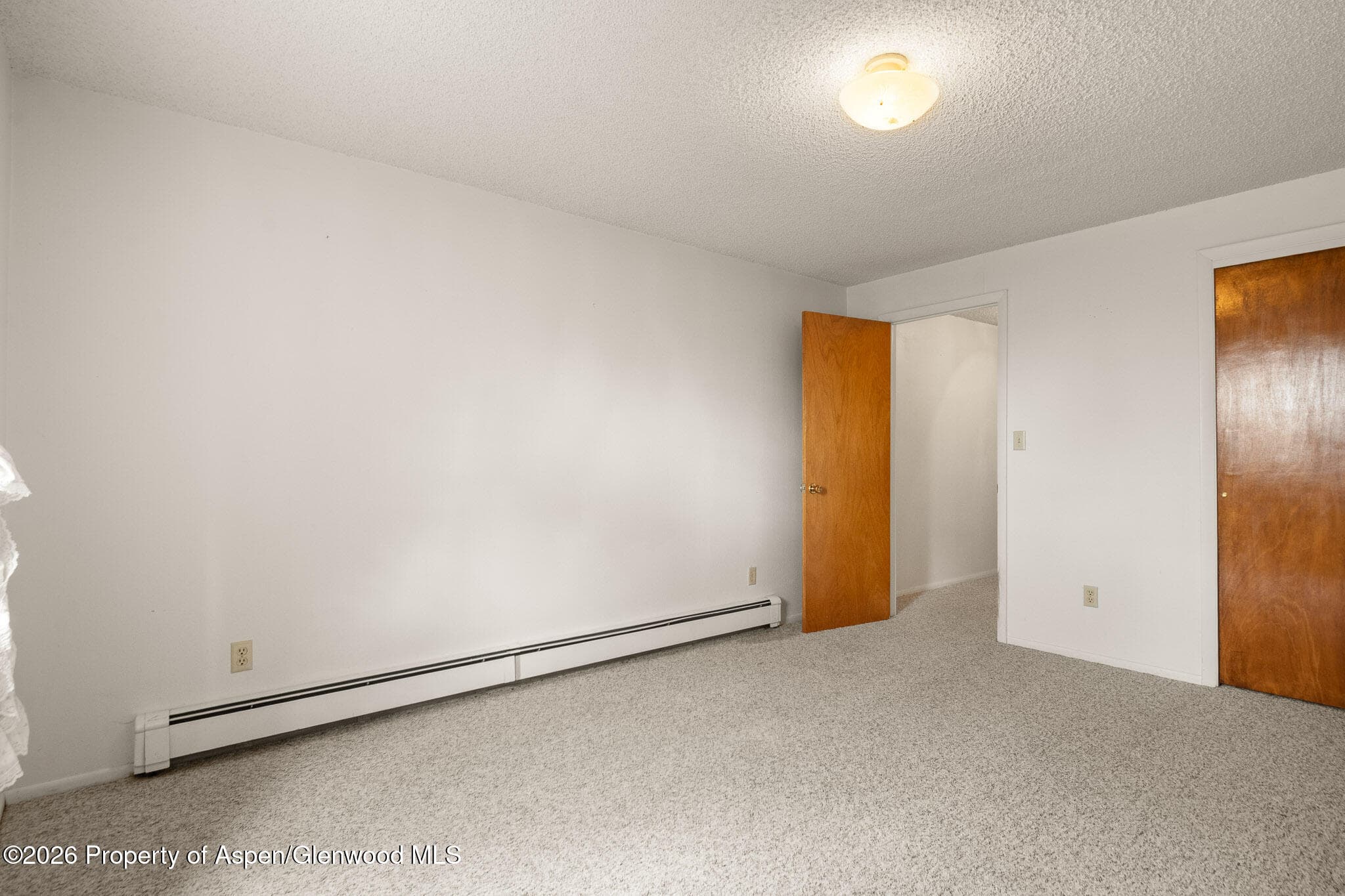 284 Panoramic Drive, Silt, CO 81652 - Photo 25