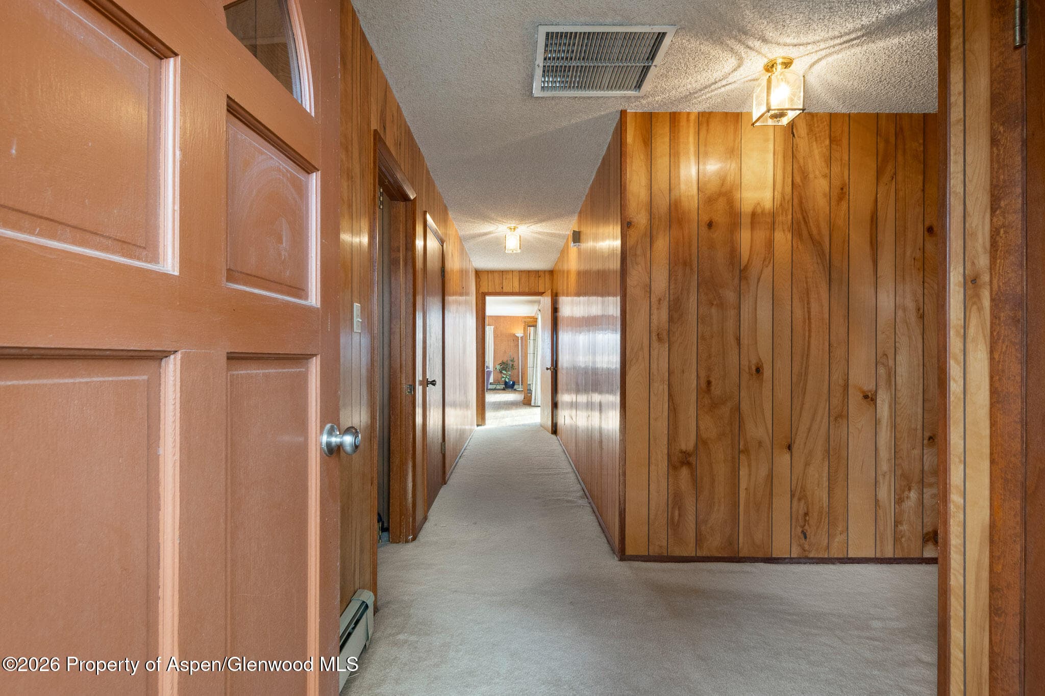 284 Panoramic Drive, Silt, CO 81652 - Photo 5
