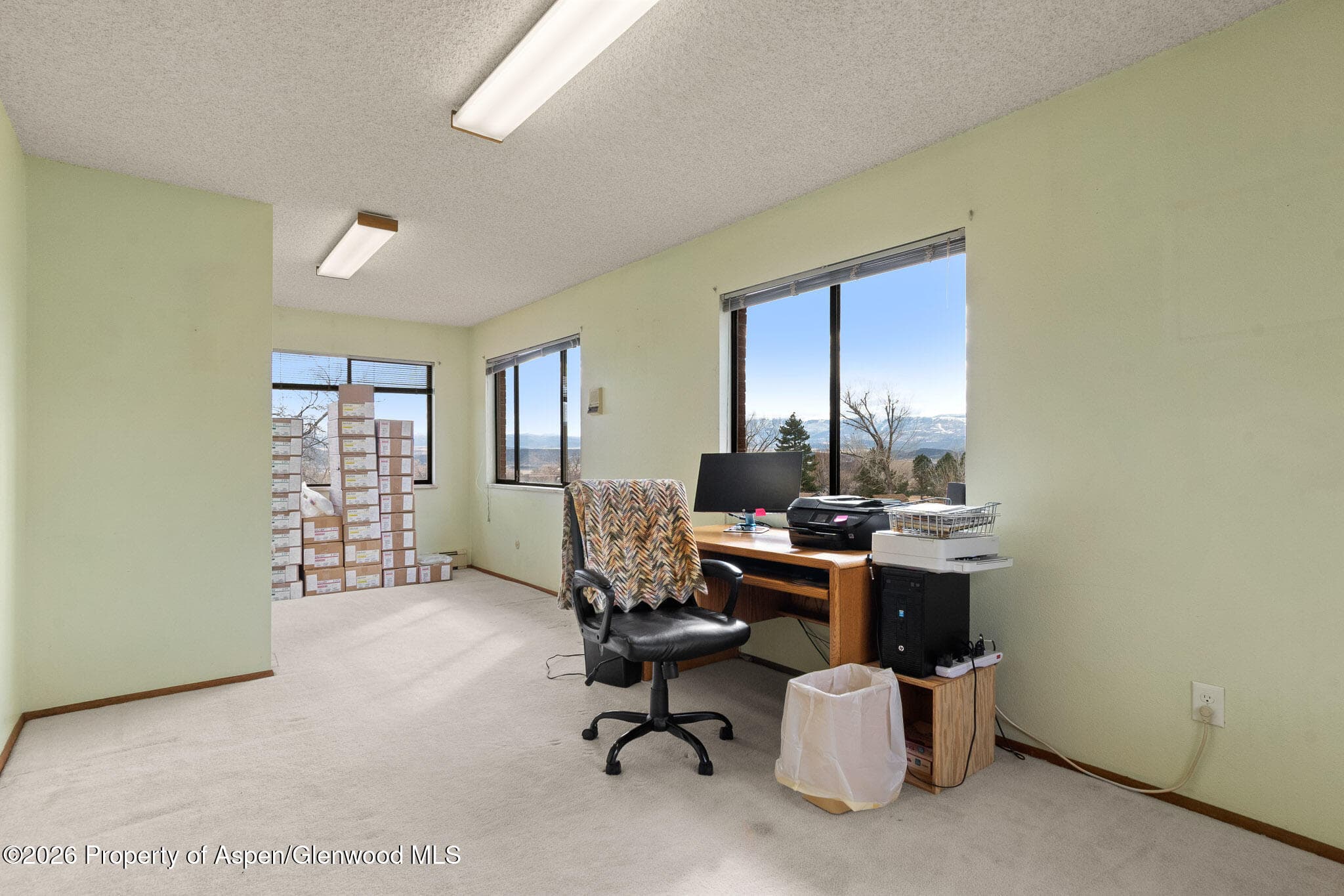 284 Panoramic Drive, Silt, CO 81652 - Photo 19