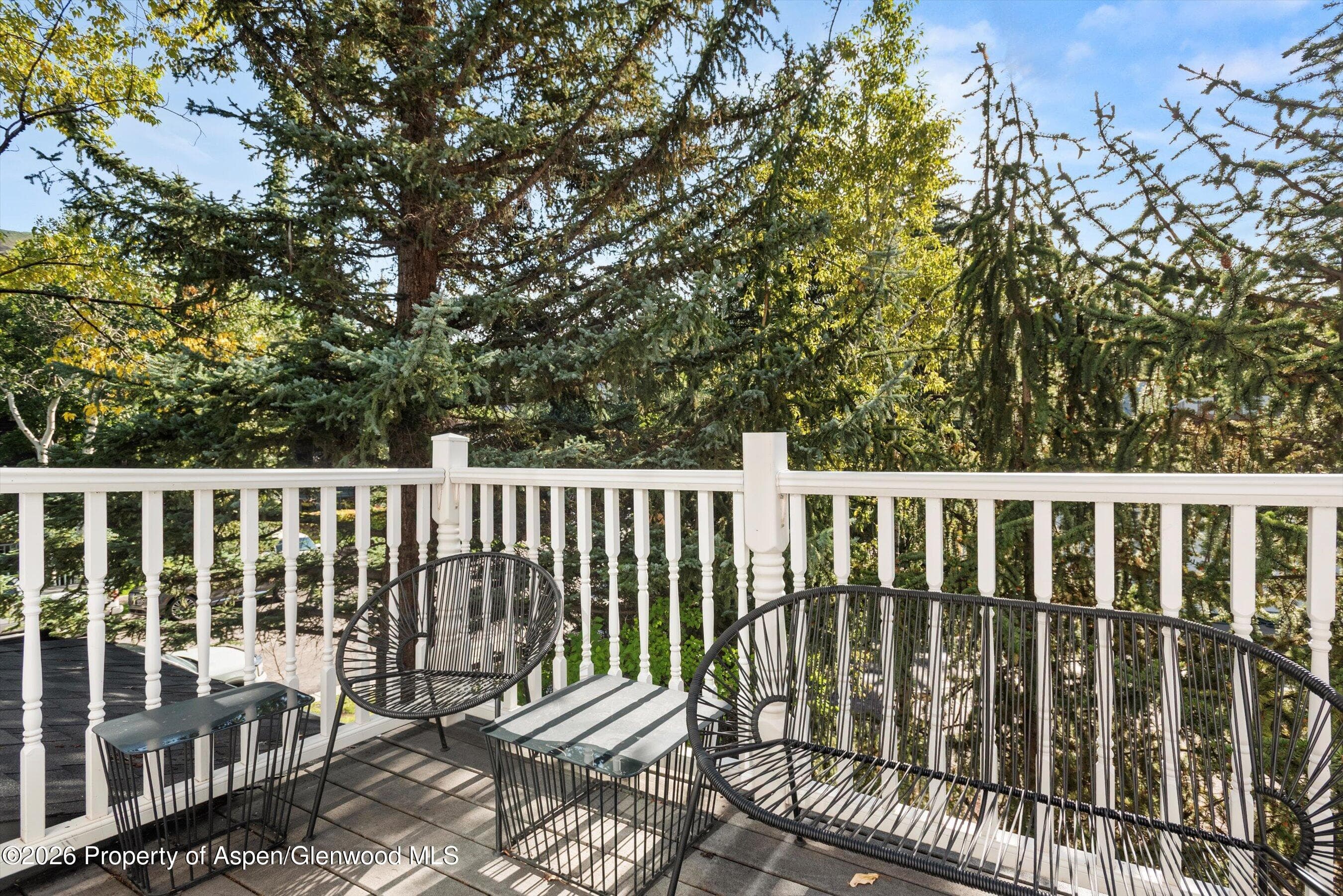 105 E Bleeker Street, Aspen, CO 81611 - Photo 18