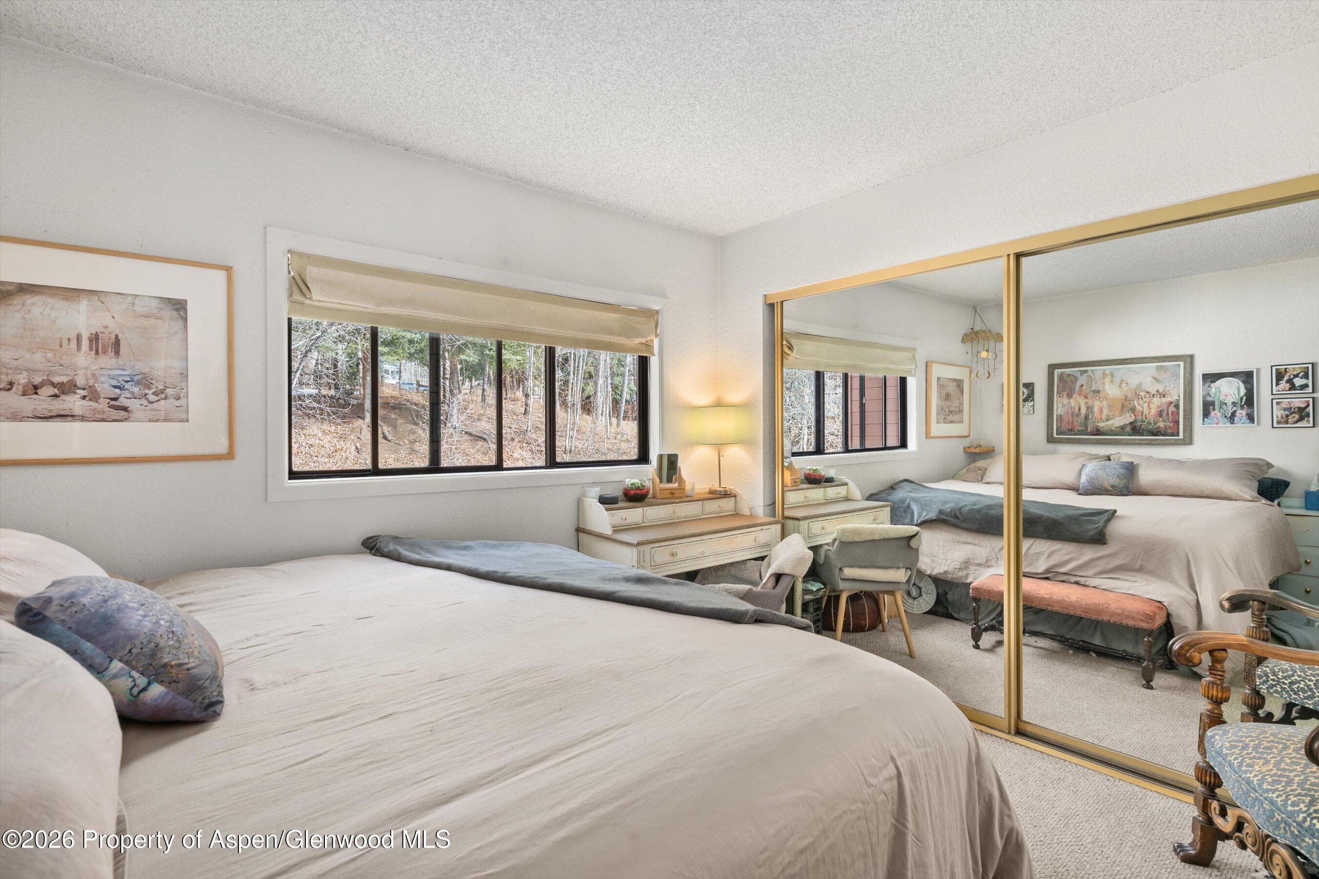1325 Vine Street, Aspen, CO 81611 - Photo 8