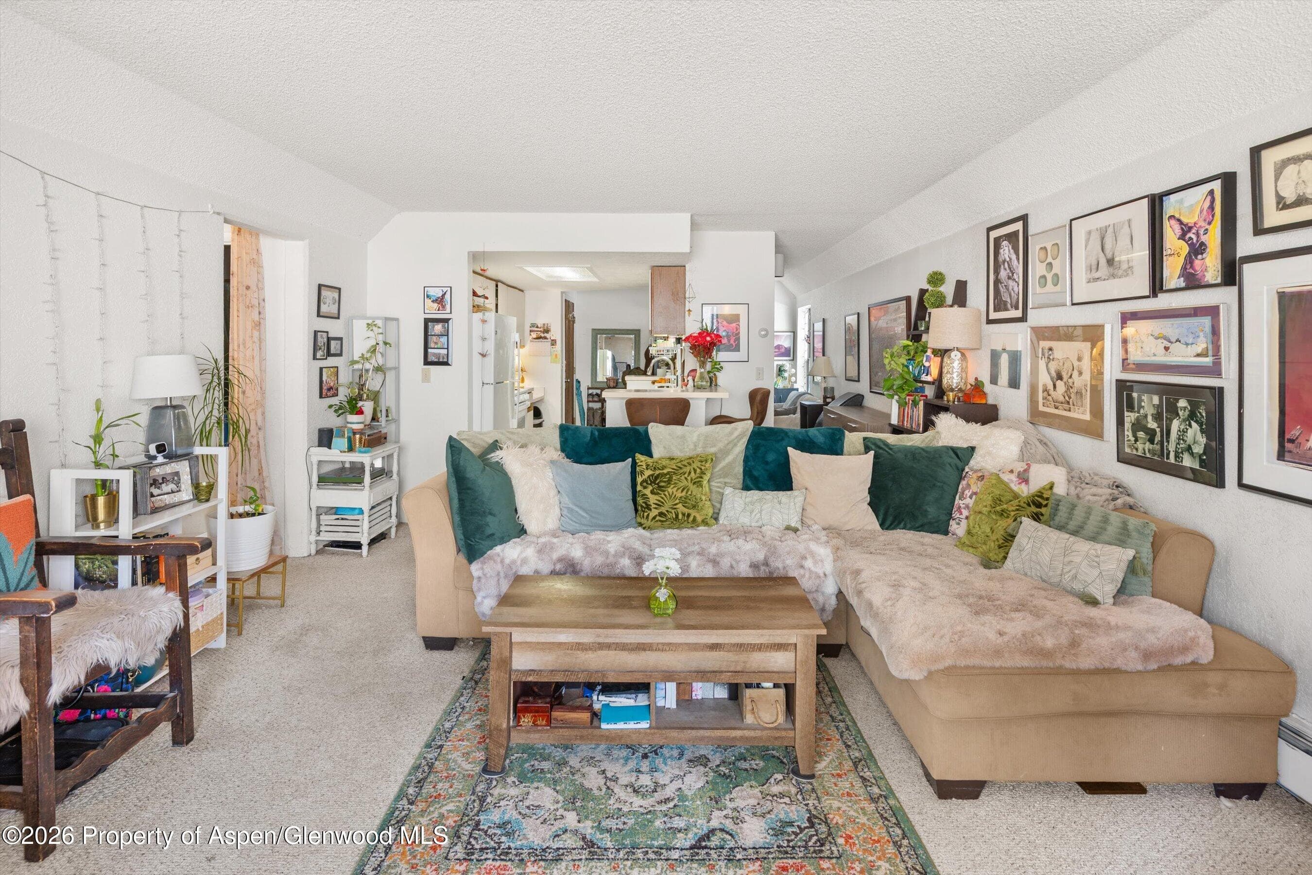 1325 Vine Street, Aspen, CO 81611 - Photo 3