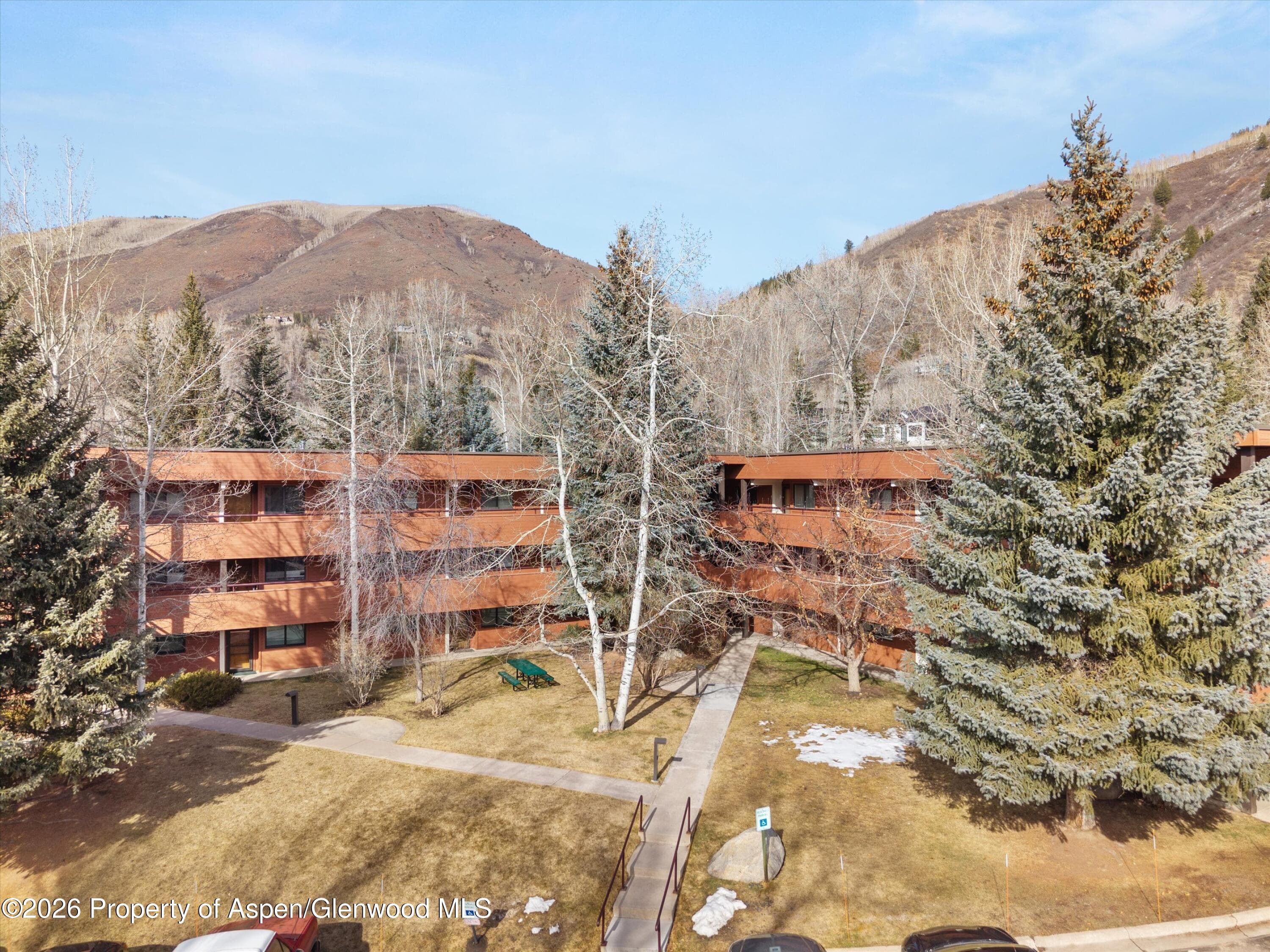 1325 Vine Street, Aspen, CO 81611 - Photo 11