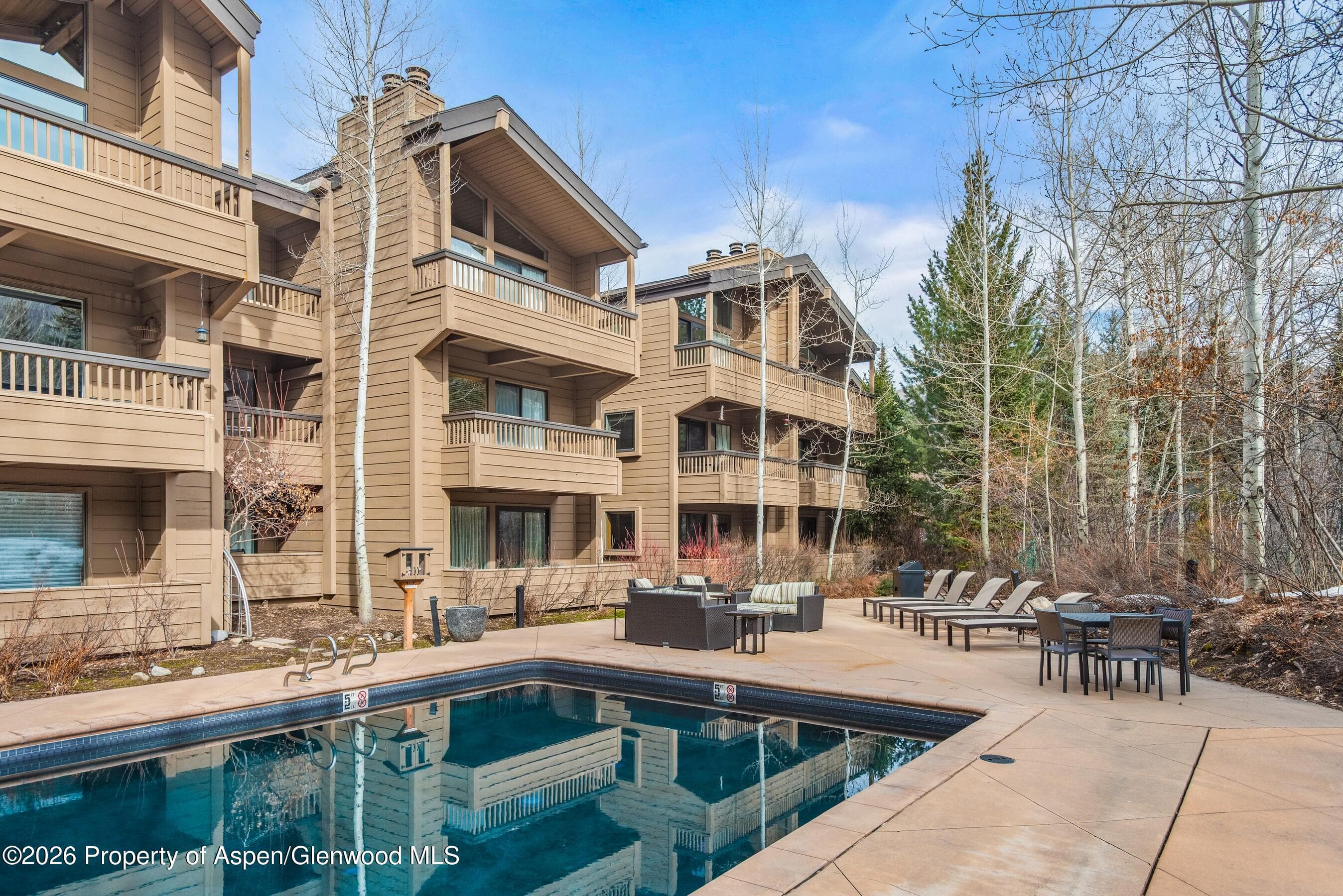 610 S West End Street G202, Aspen, CO 81611 - Photo 14