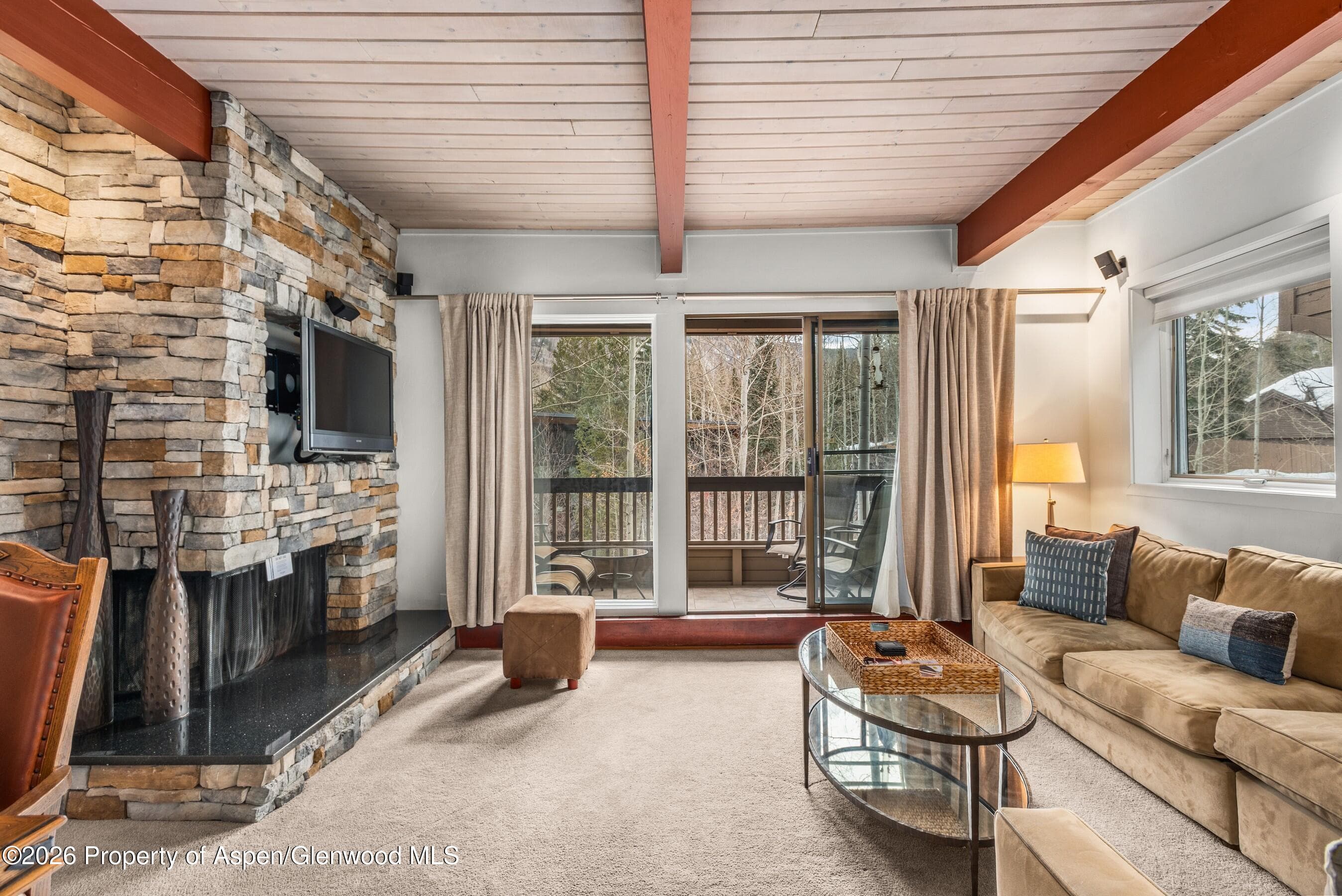 610 S West End Street G202, Aspen, CO 81611 - Photo 17