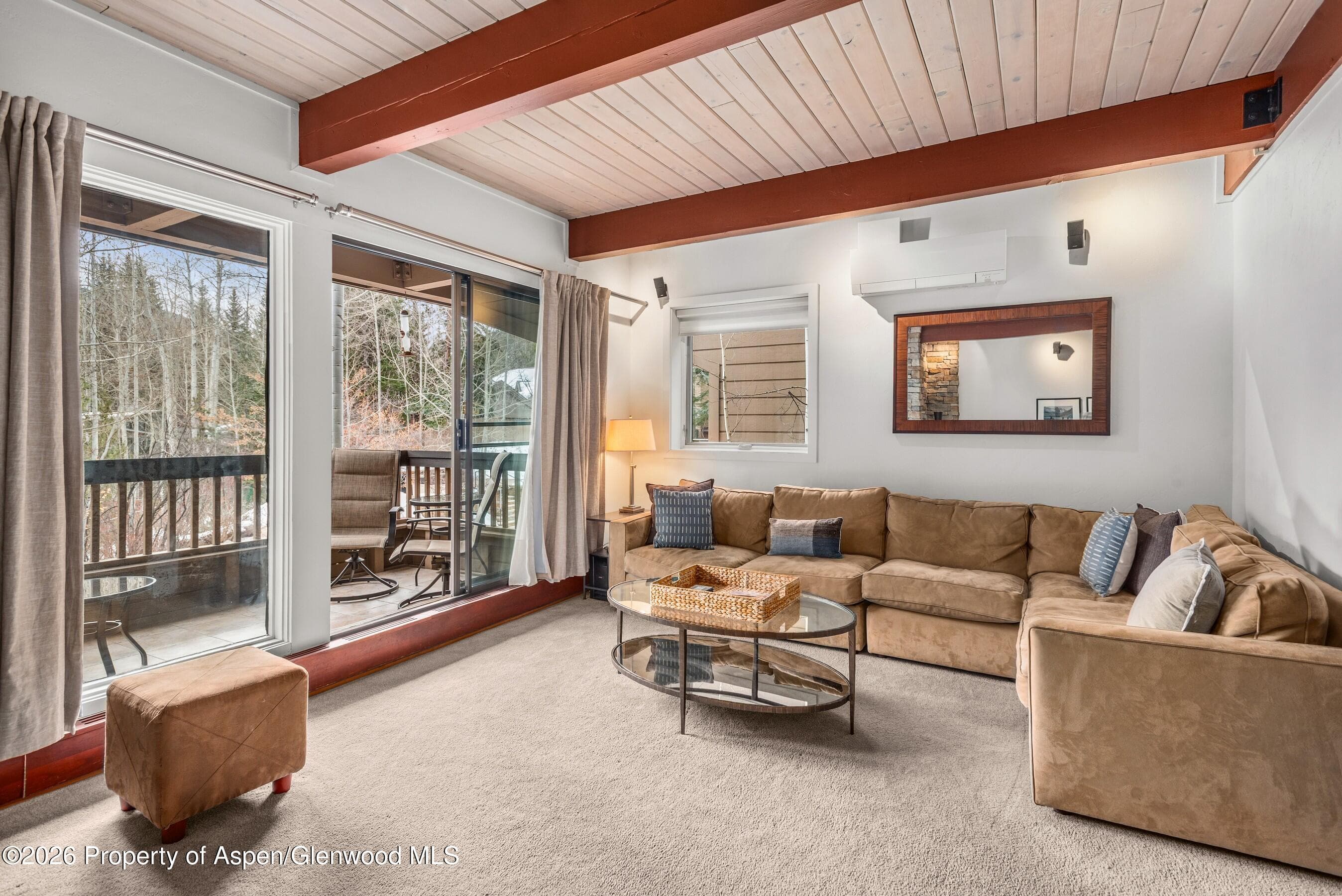 610 S West End Street G202, Aspen, CO 81611 - Photo 18