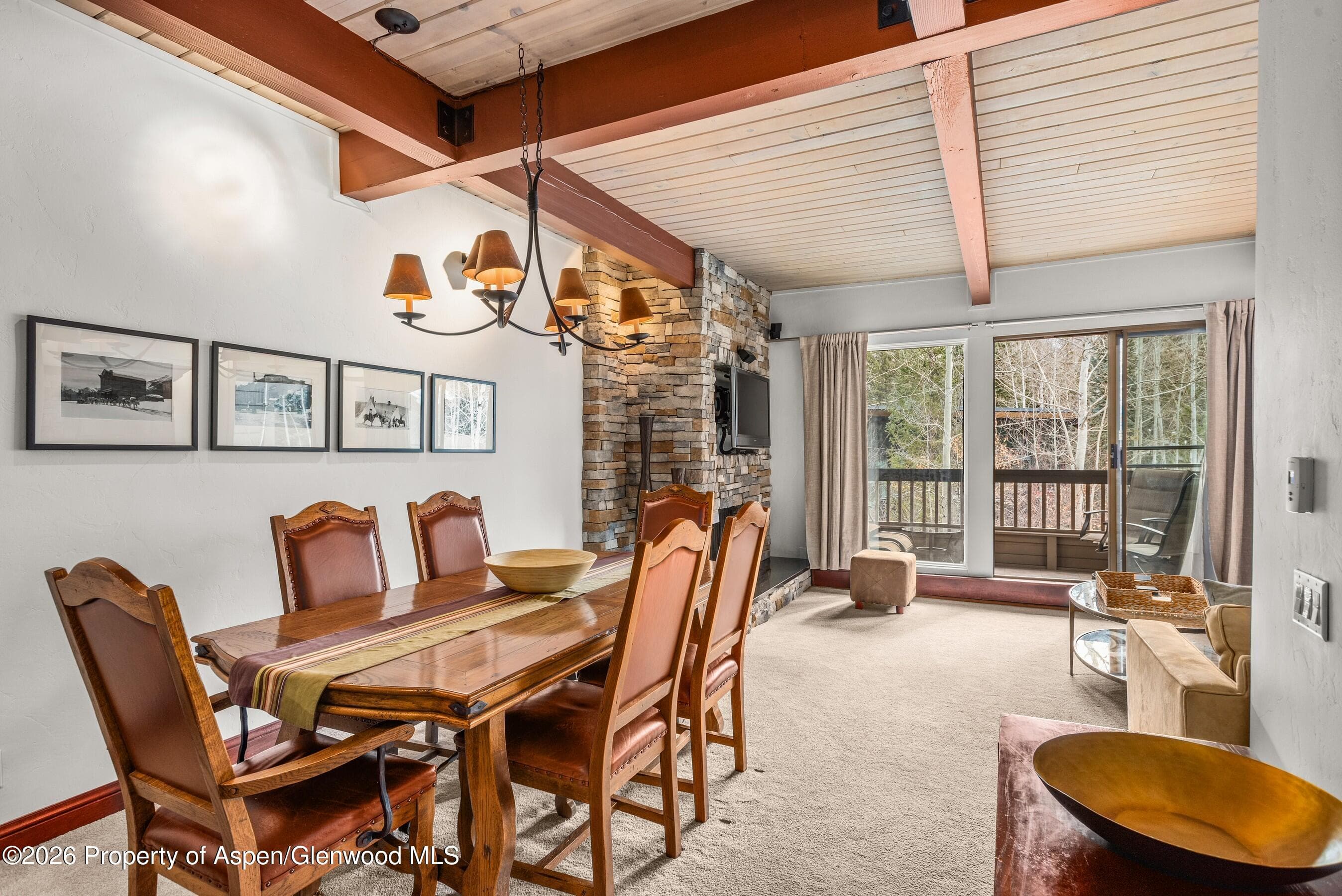610 S West End Street G202, Aspen, CO 81611 - Photo 21