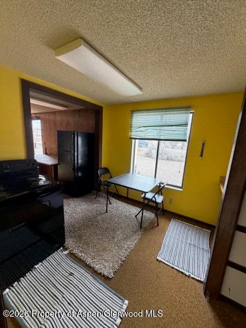 1598 N Yampa Avenue, Craig, CO 81625 - Photo 10