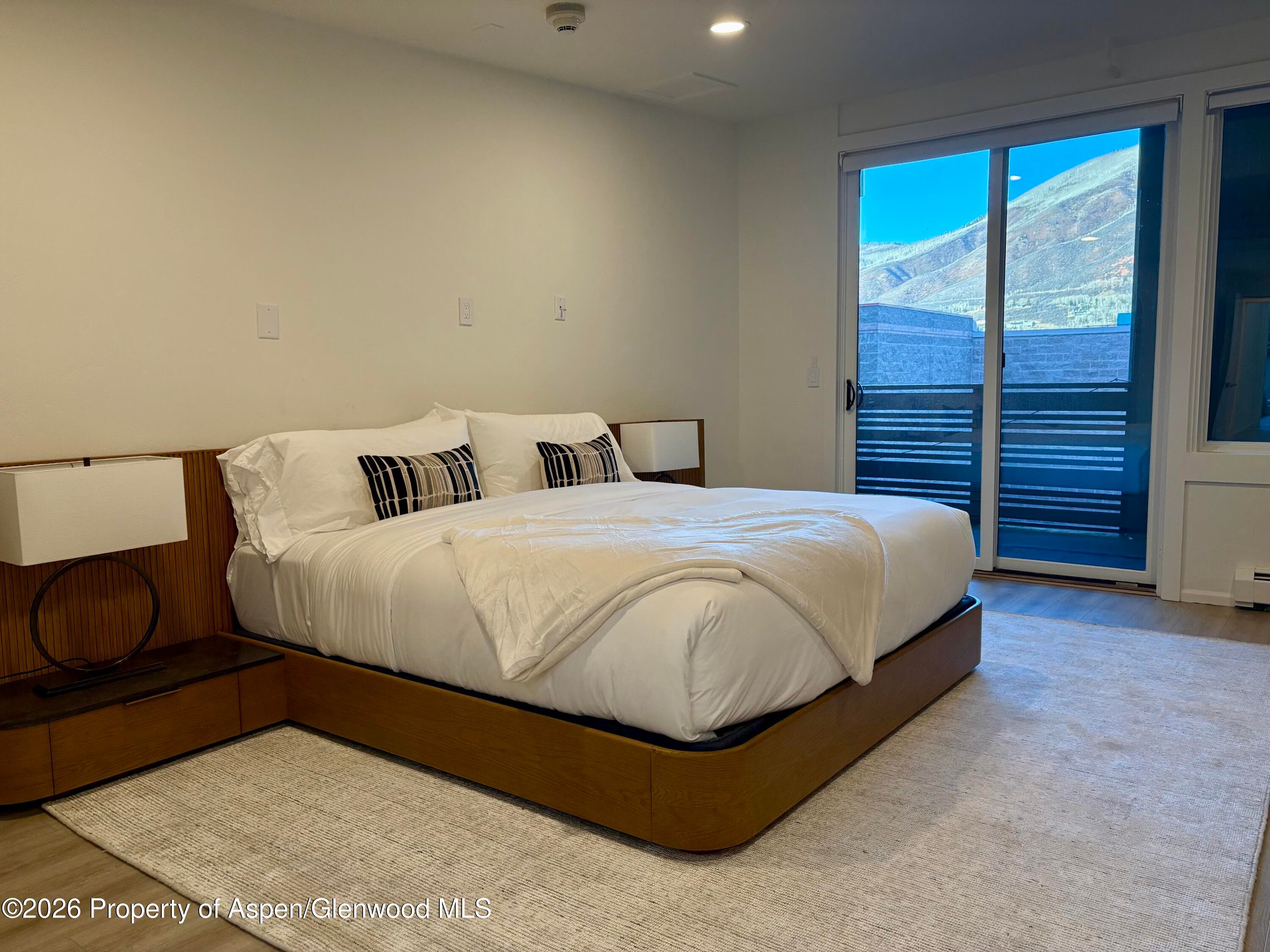 426 E Hyman, Aspen, CO 81611 - Photo 6