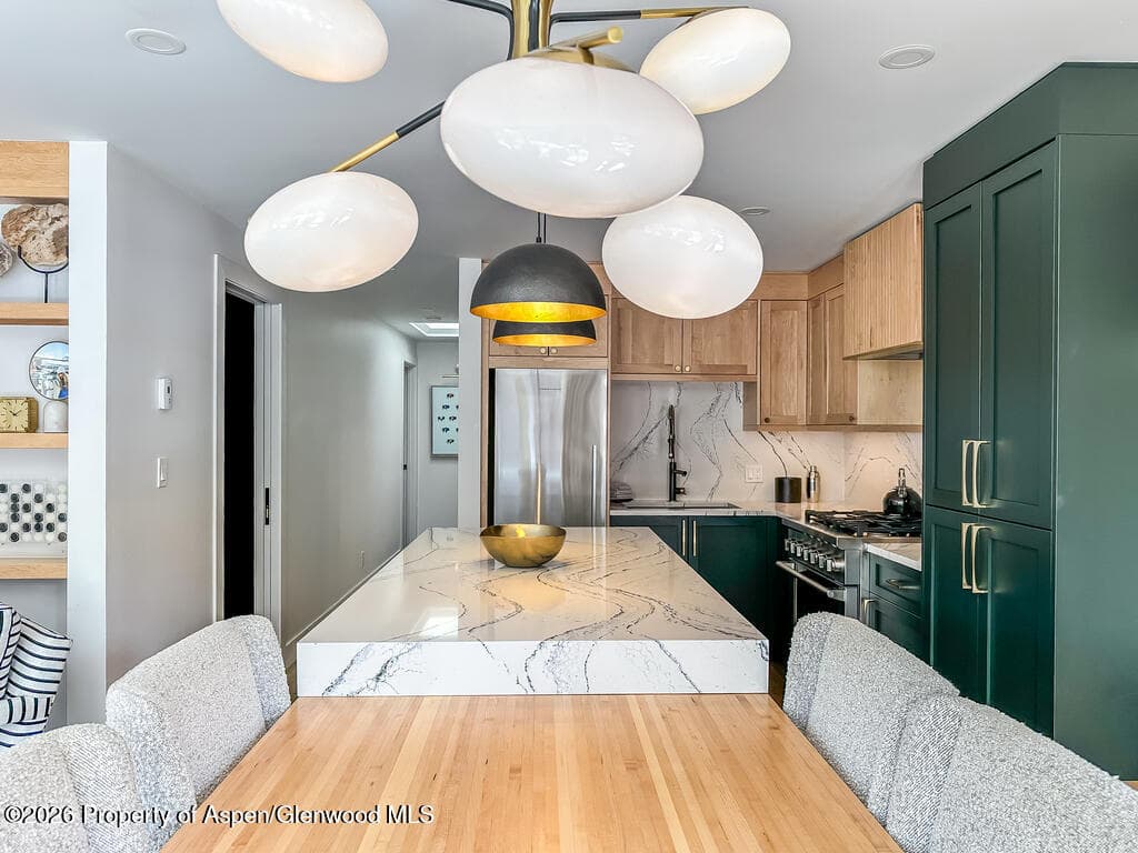 803 E Durant Avenue 8, Aspen, CO 81611 - Photo 4