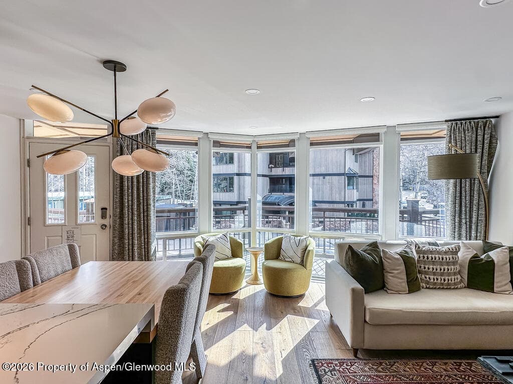 803 E Durant Avenue 8, Aspen, CO 81611 - Photo 10