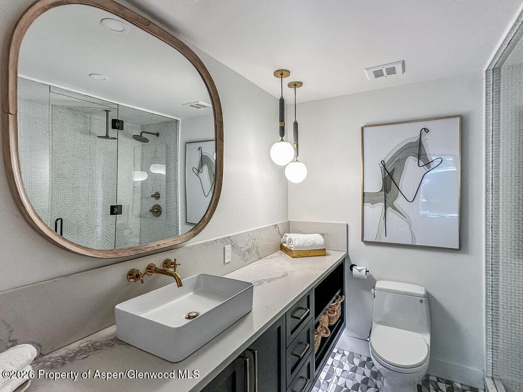 803 E Durant Avenue 8, Aspen, CO 81611 - Photo 16