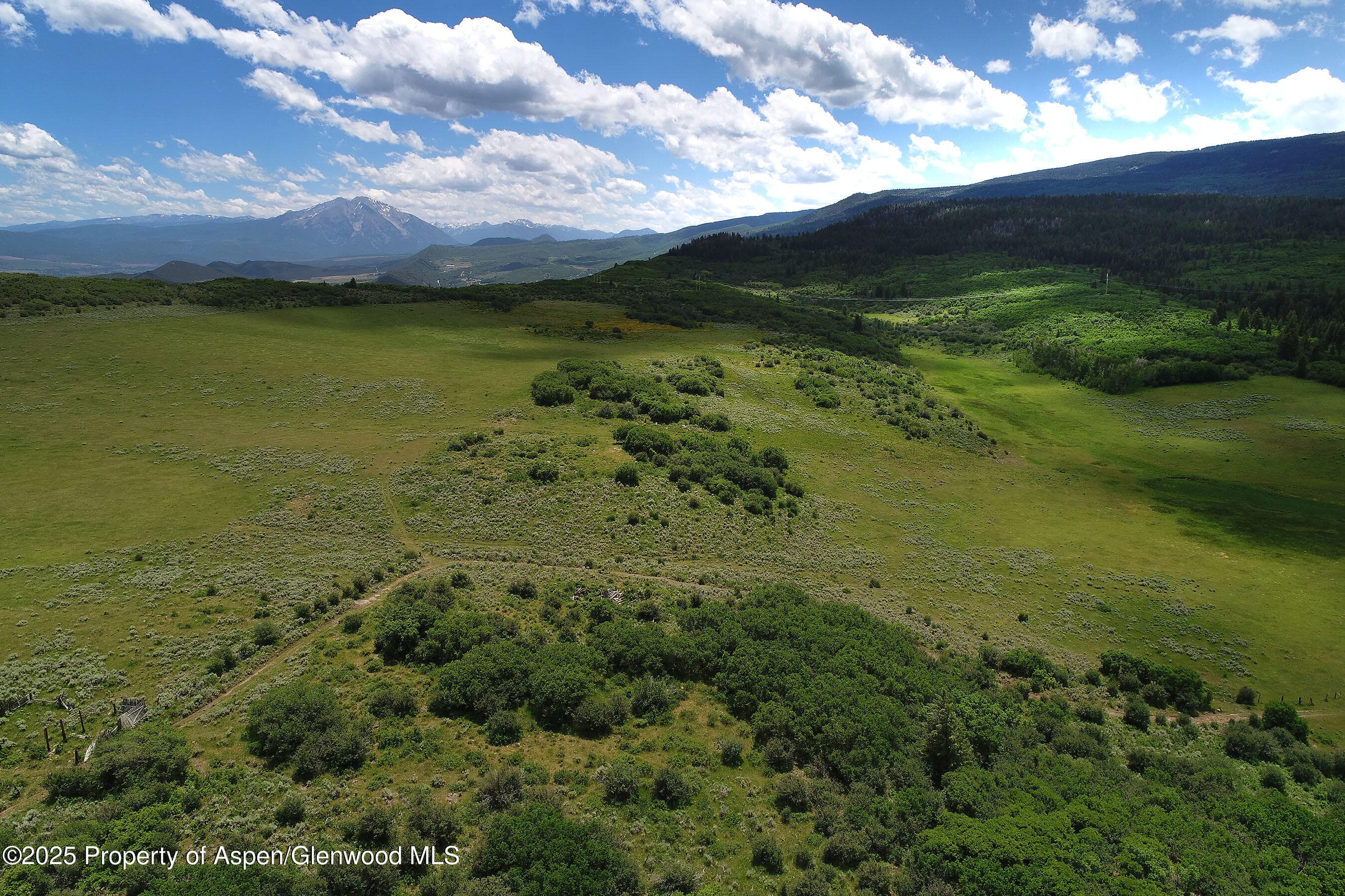 Tbd County Road 117, Glenwood Springs, CO 81601