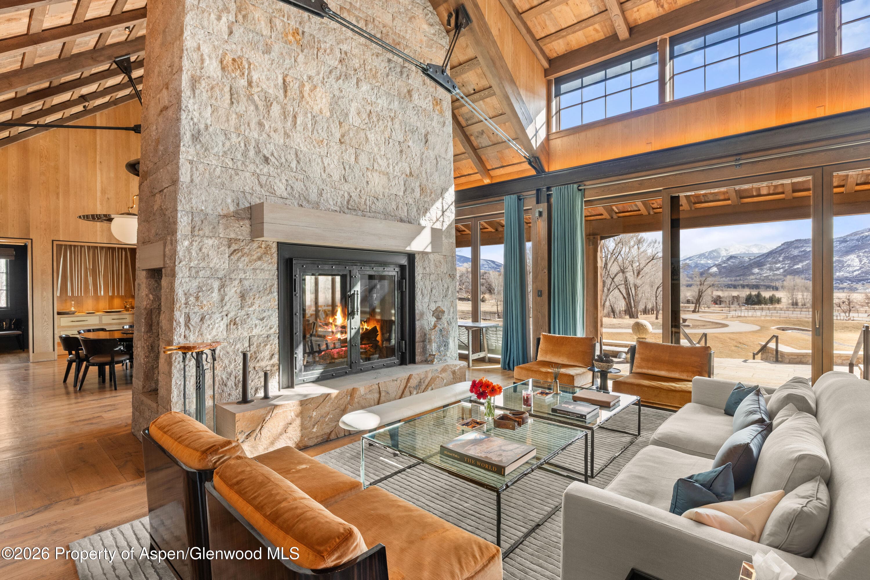 31 E Bourg Trail, Woody Creek, CO 81656 - Photo 56