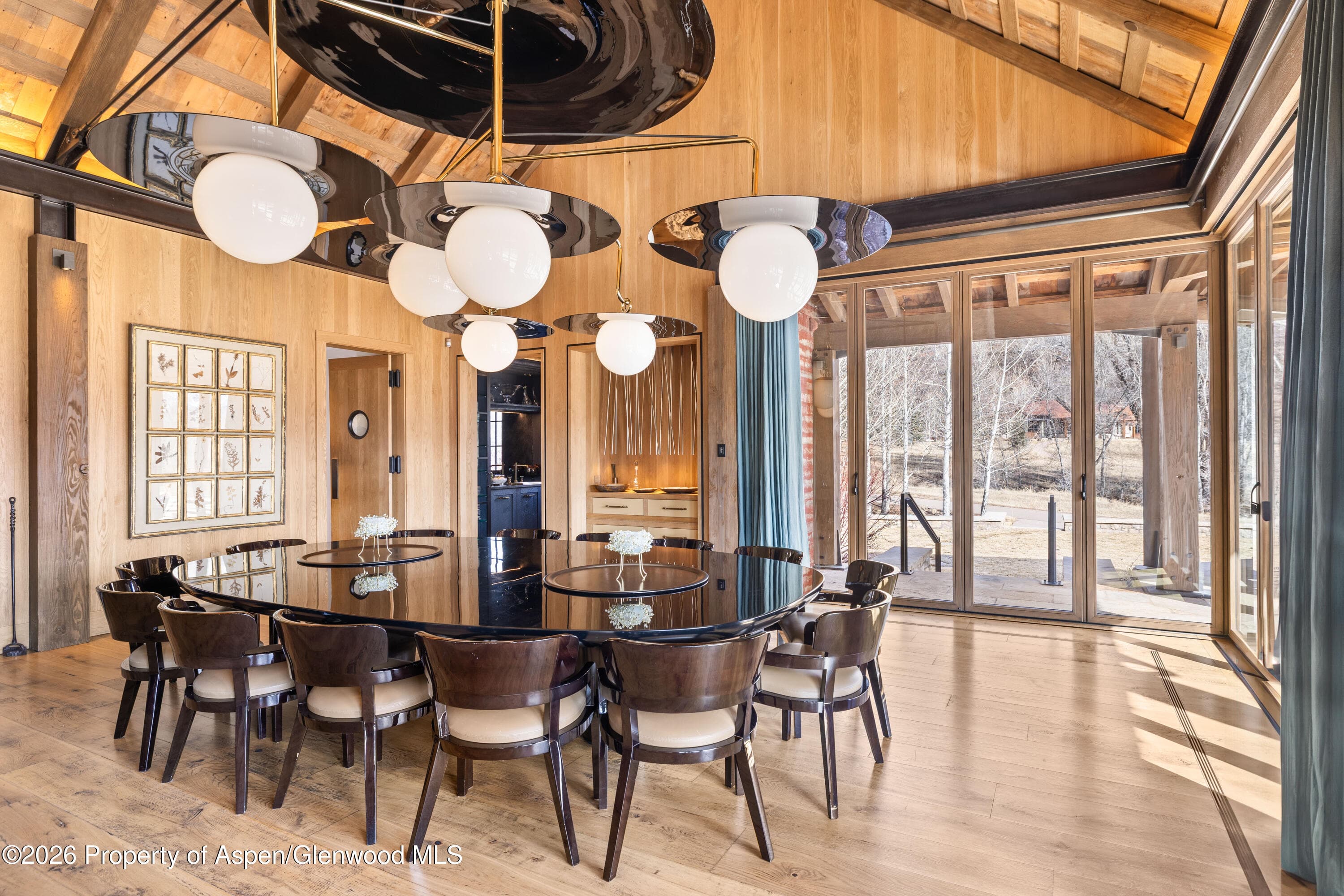 31 E Bourg Trail, Woody Creek, CO 81656 - Photo 57