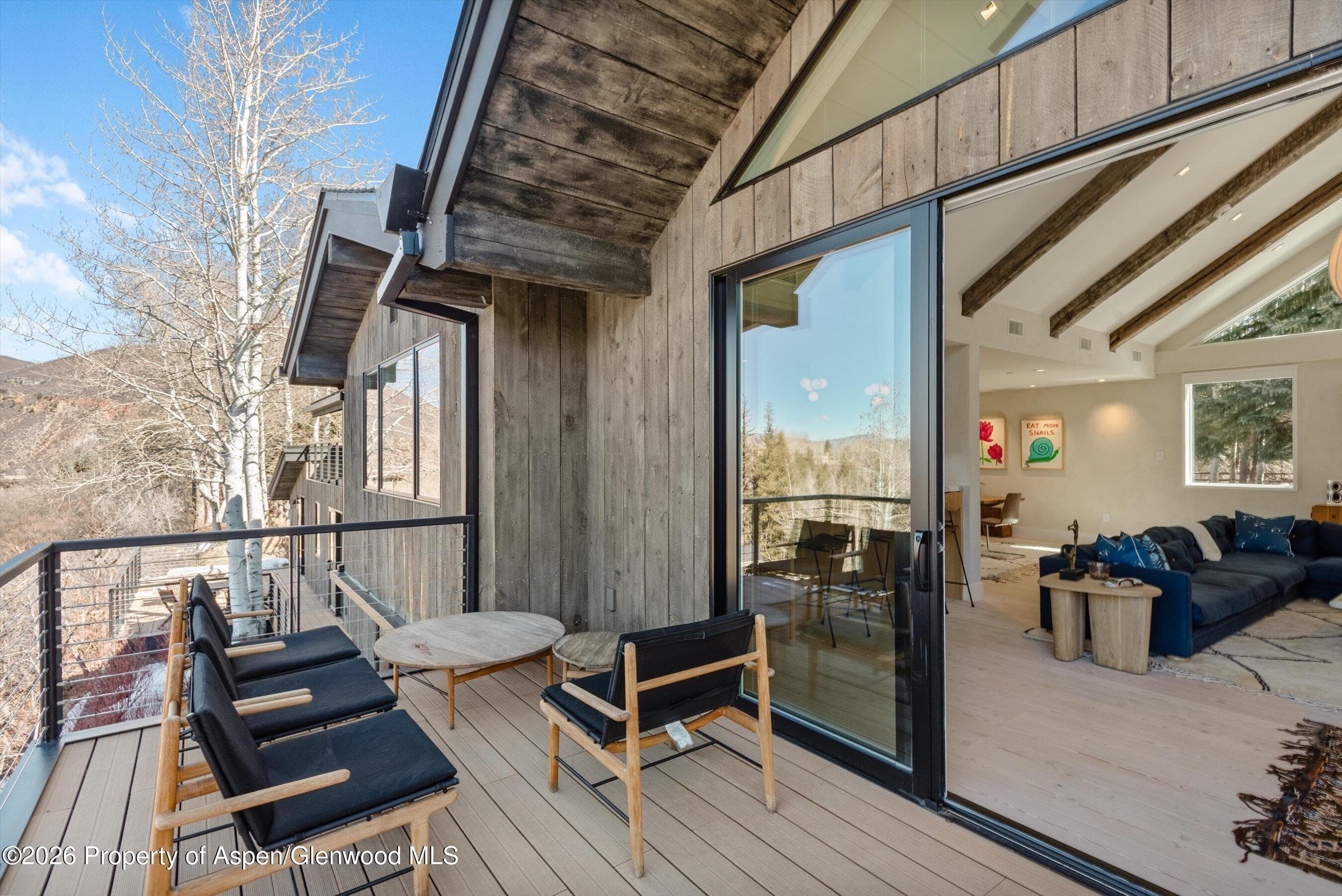 135 Maroon Drive, Aspen, CO 81611 - Photo 11