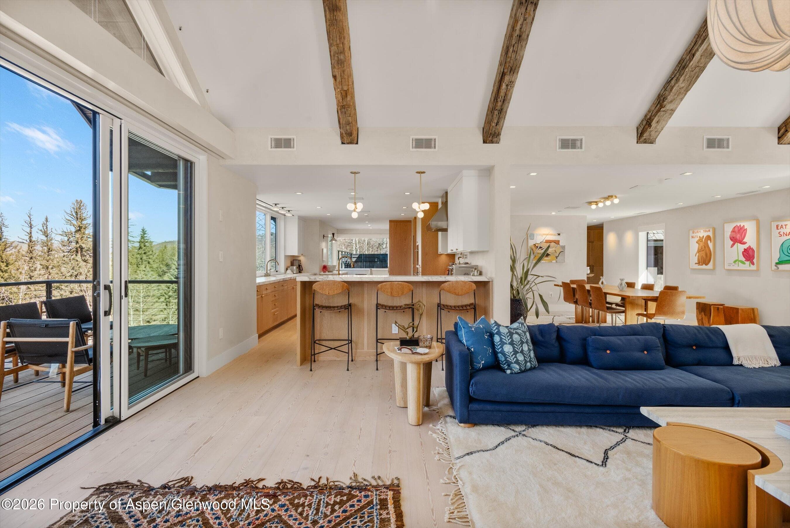135 Maroon Drive, Aspen, CO 81611 - Photo 13