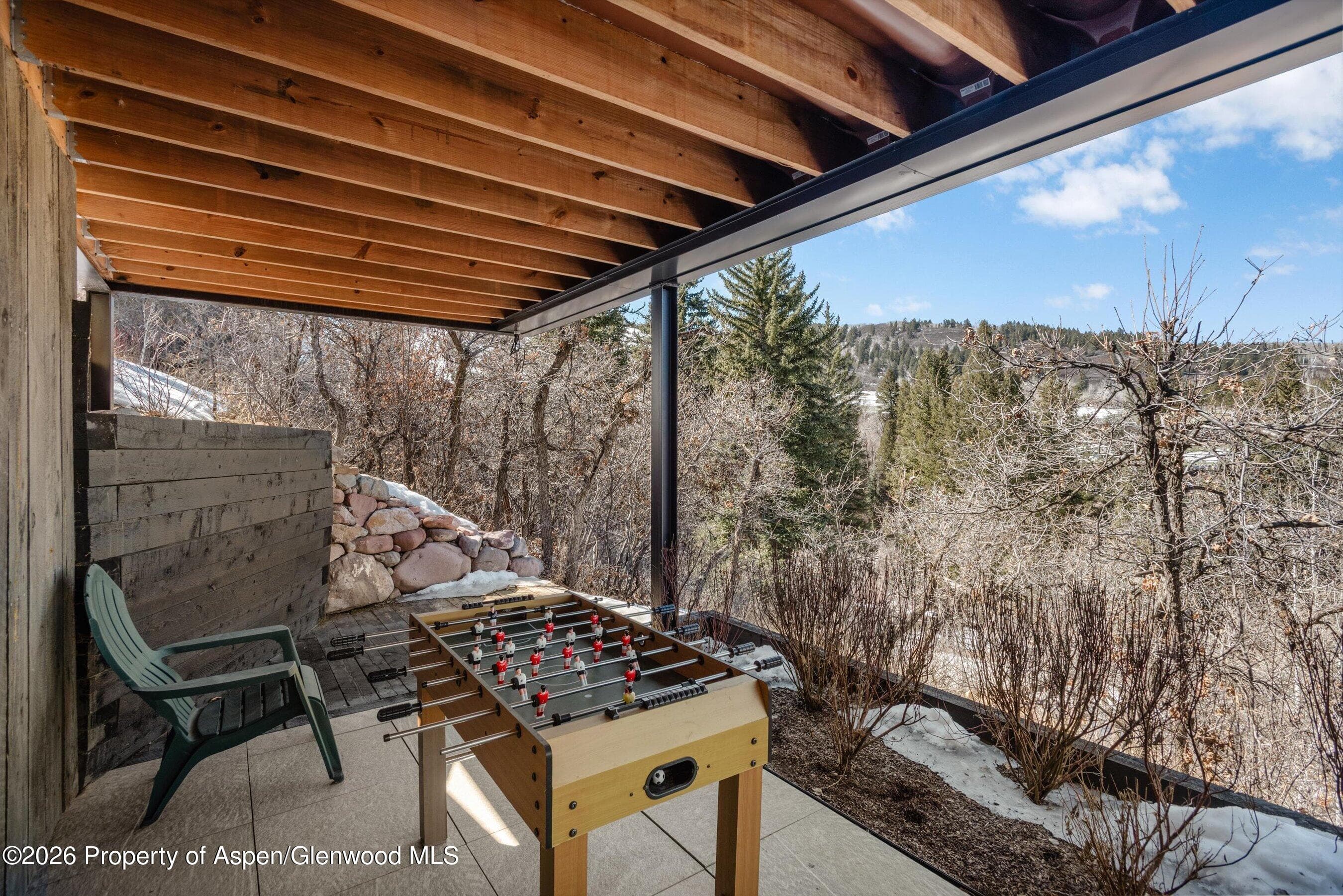 135 Maroon Drive, Aspen, CO 81611 - Photo 41