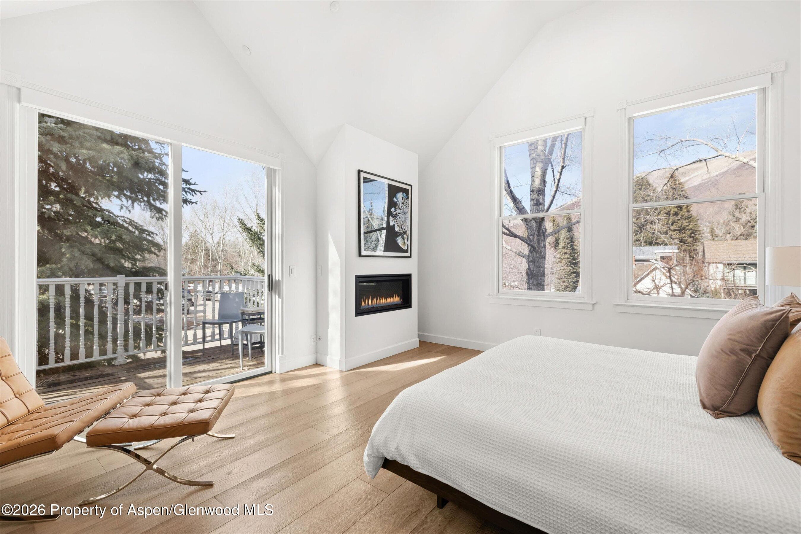 101 E Bleeker Street A, Aspen, CO 81611 - Photo 7