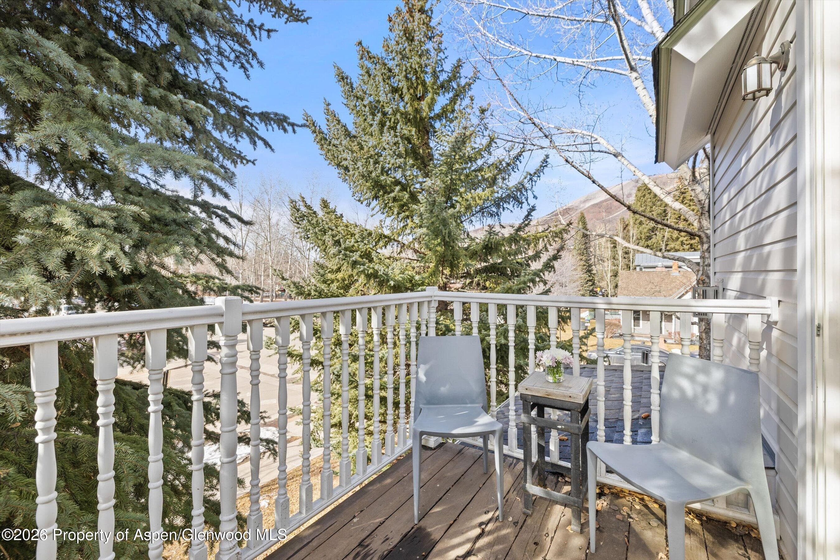 101 E Bleeker Street A, Aspen, CO 81611 - Photo 8