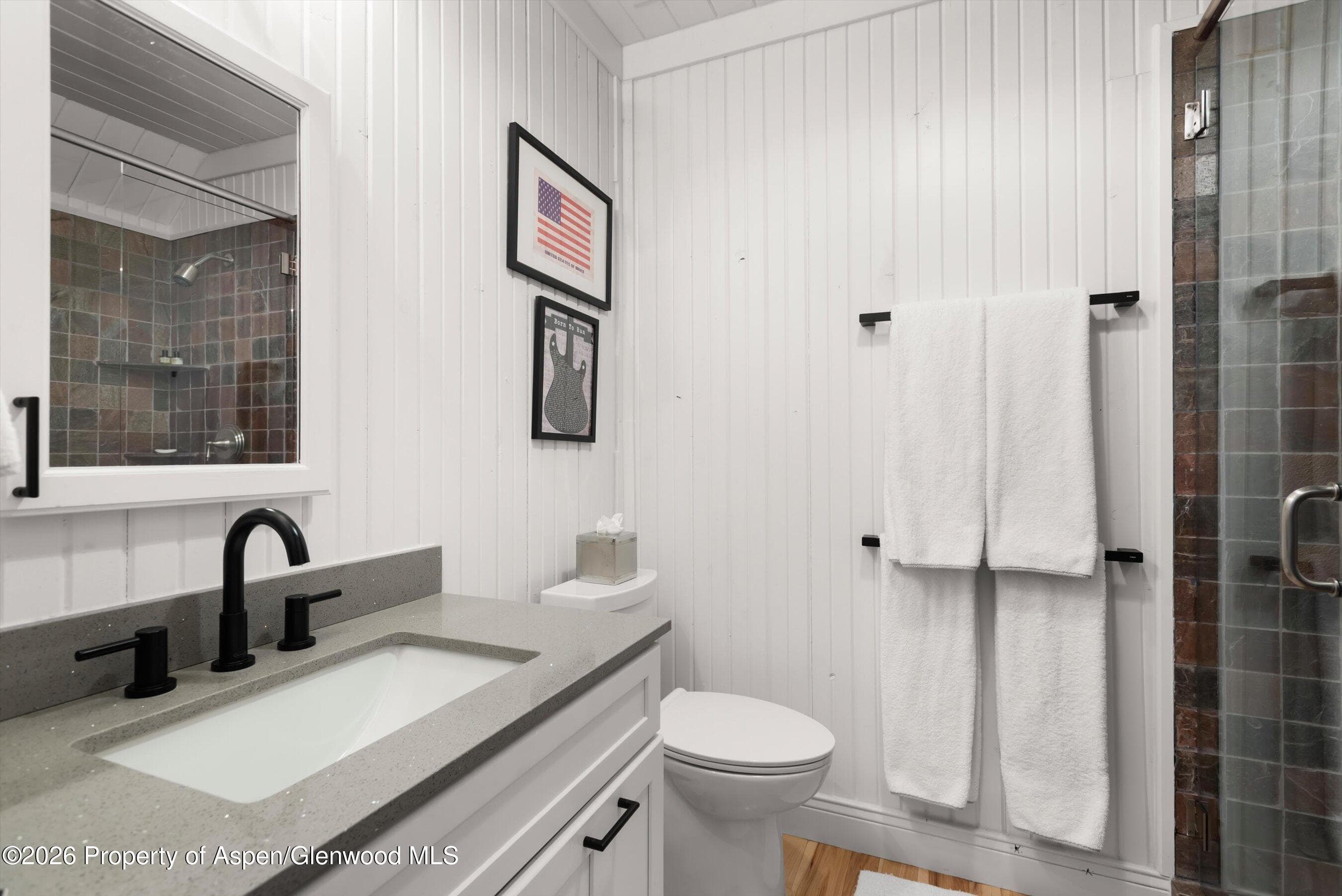 1258 Juniper Hill Road, Aspen, CO 81611 - Photo 17
