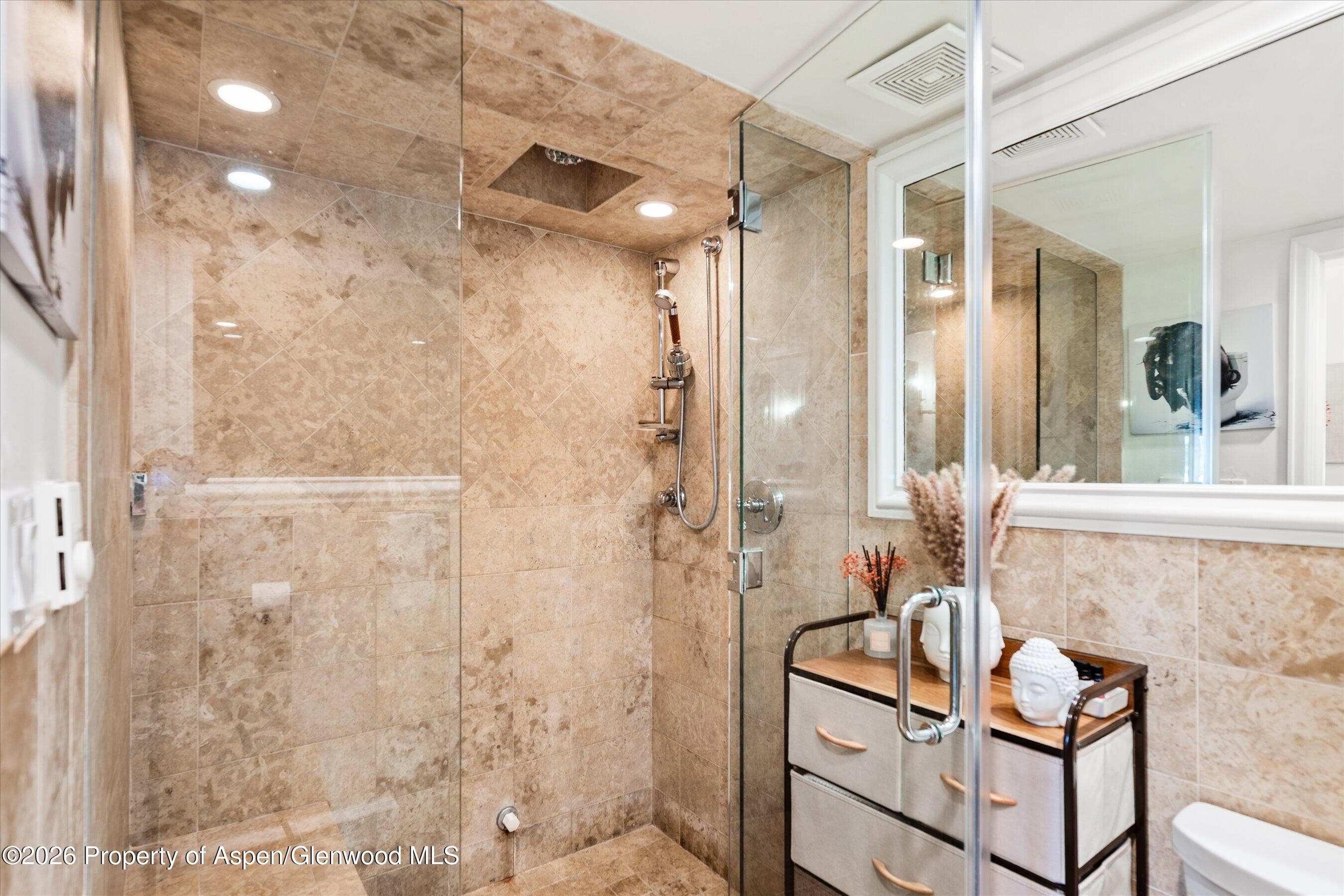 901 E Hyman Avenue 11, Aspen, CO 81611 - Photo 9