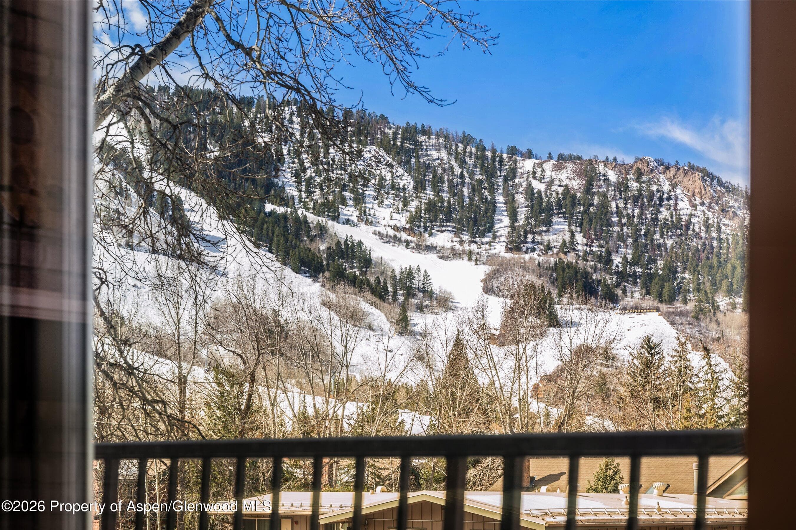 901 E Hyman Avenue 11, Aspen, CO 81611 - Photo 12