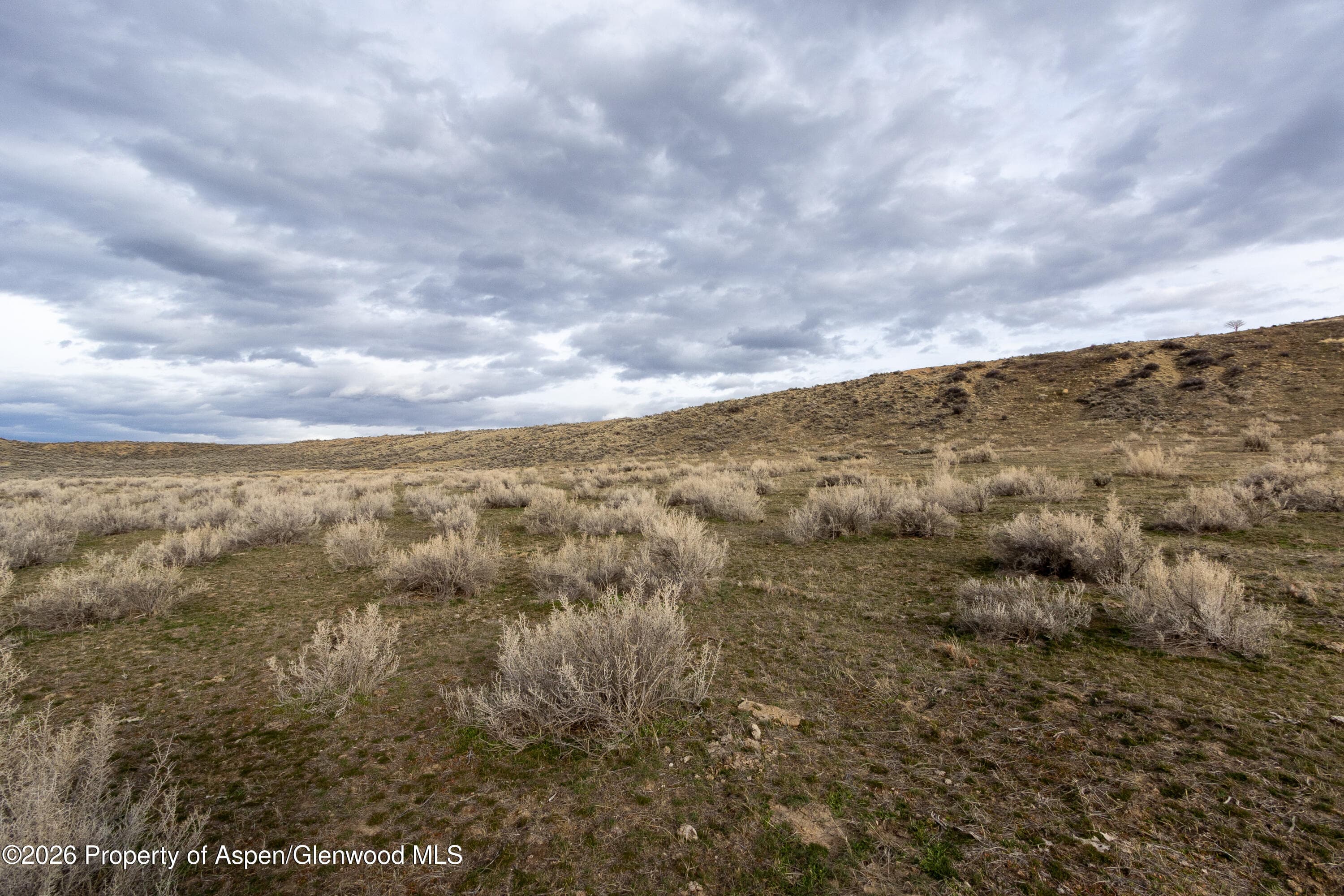 Property - Photo 9
