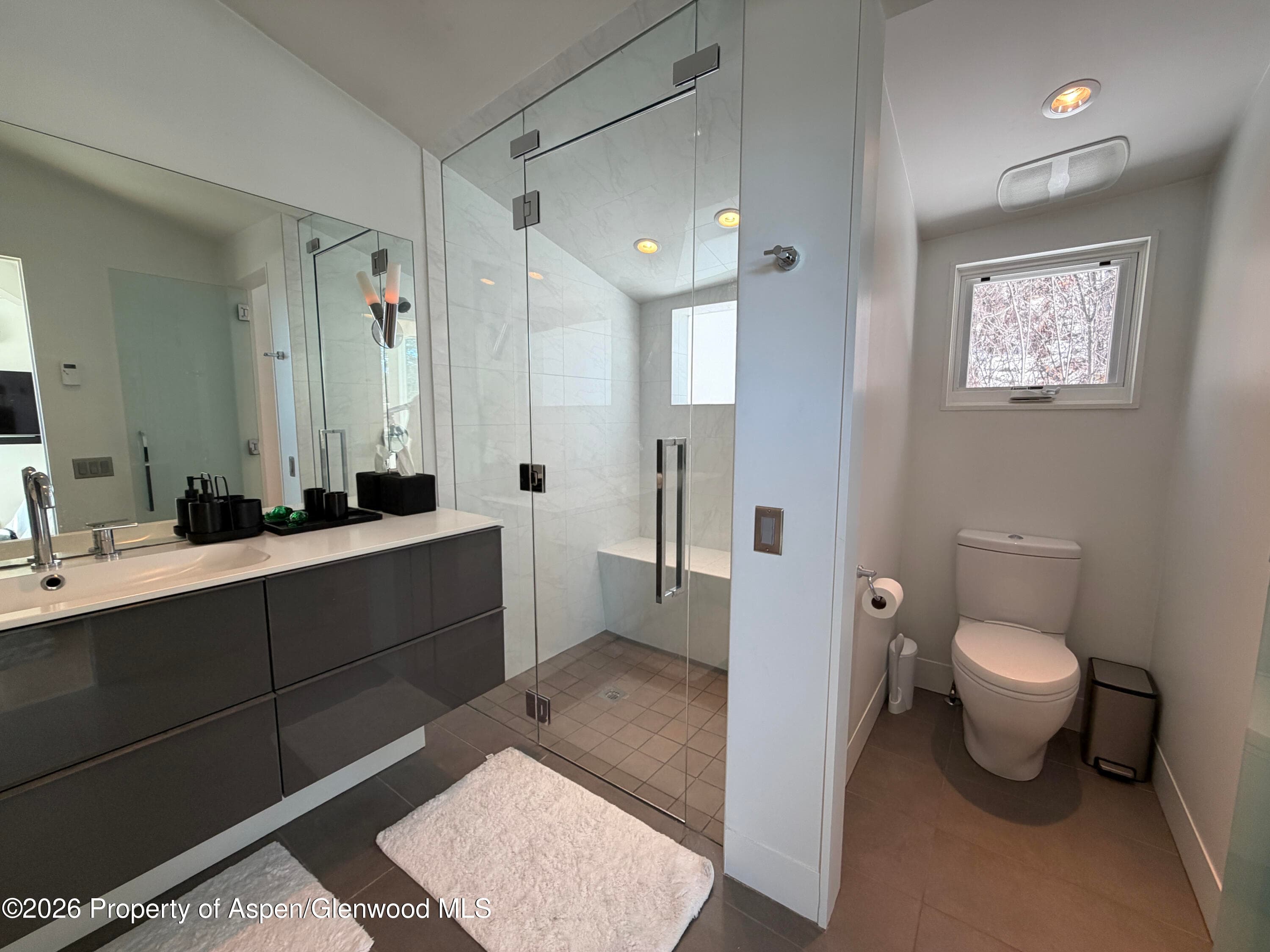 602 Mountain Laurel Drive, Aspen, CO 81611 - Photo 13