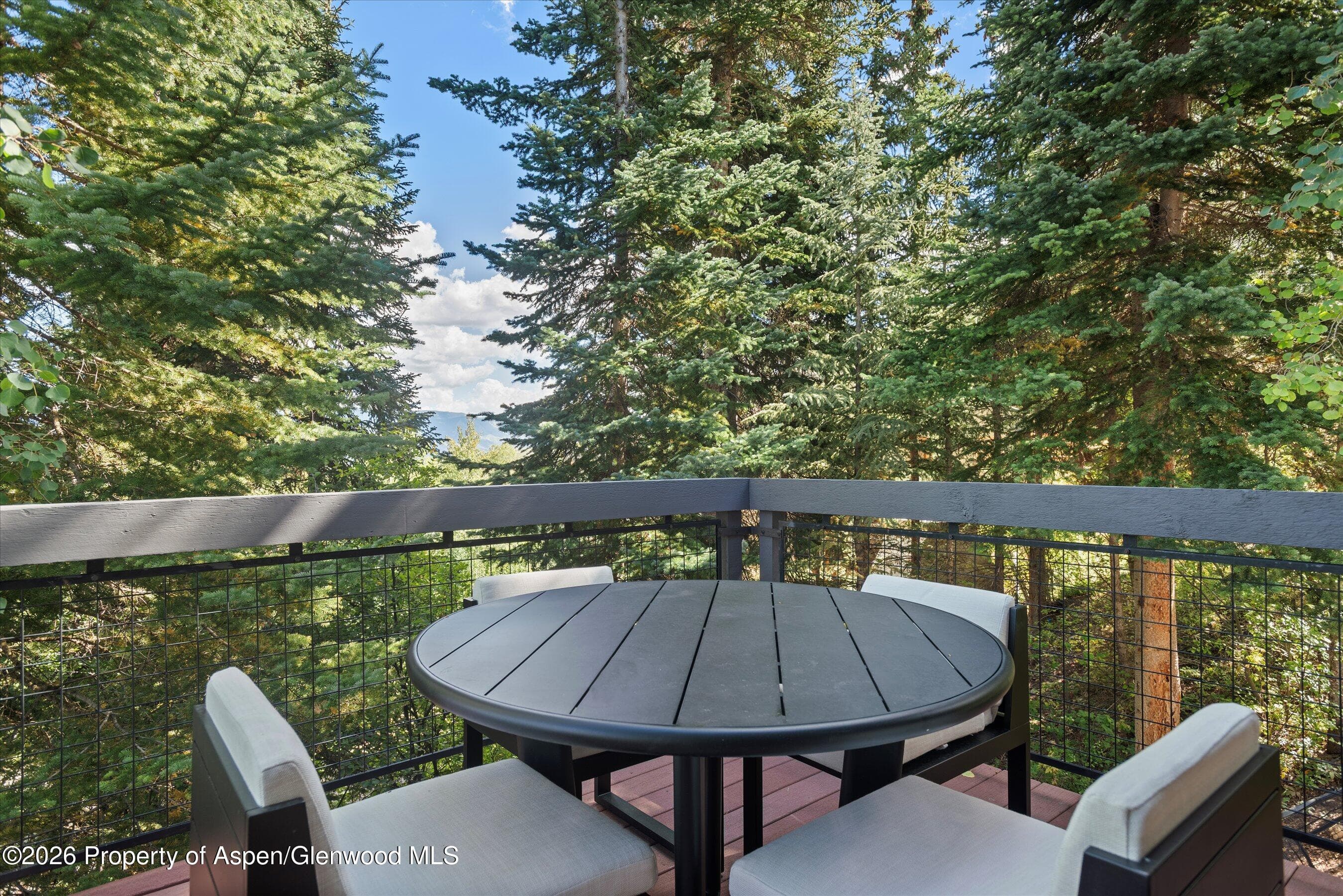32 Elk Ridge Lane, Snowmass Village, CO 81615 - Photo 54