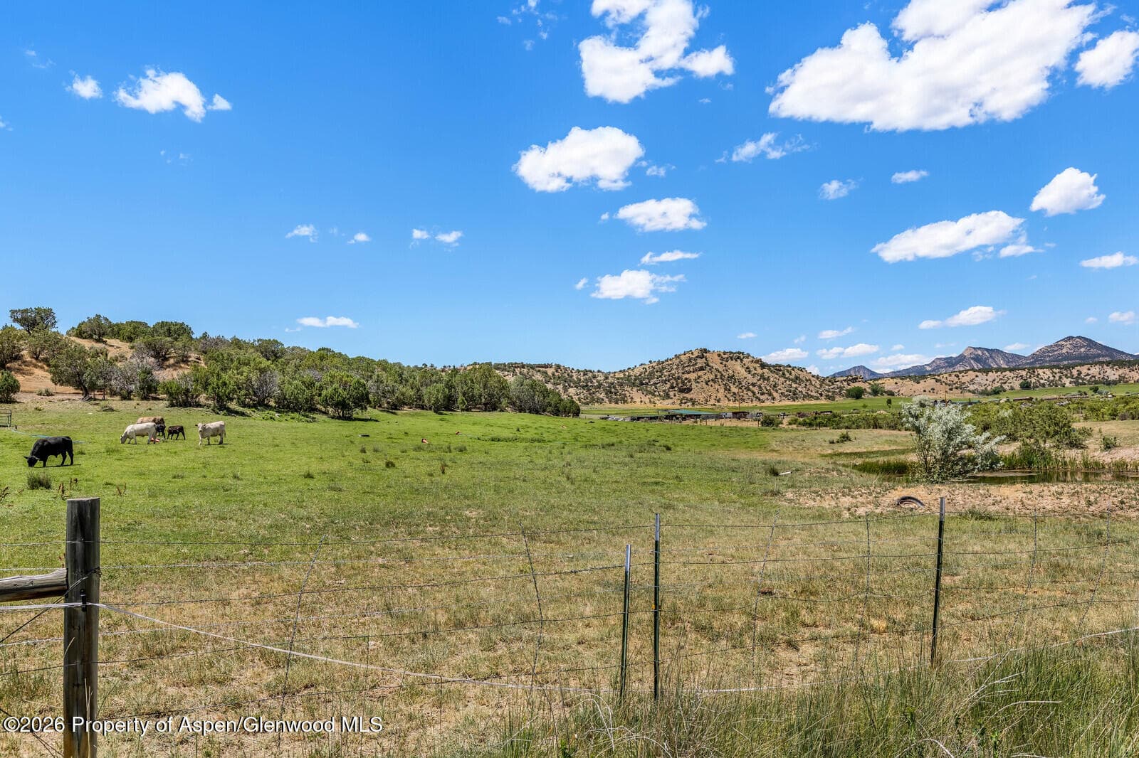 2880 County Road 233, Rifle, CO 81650 - Photo 39