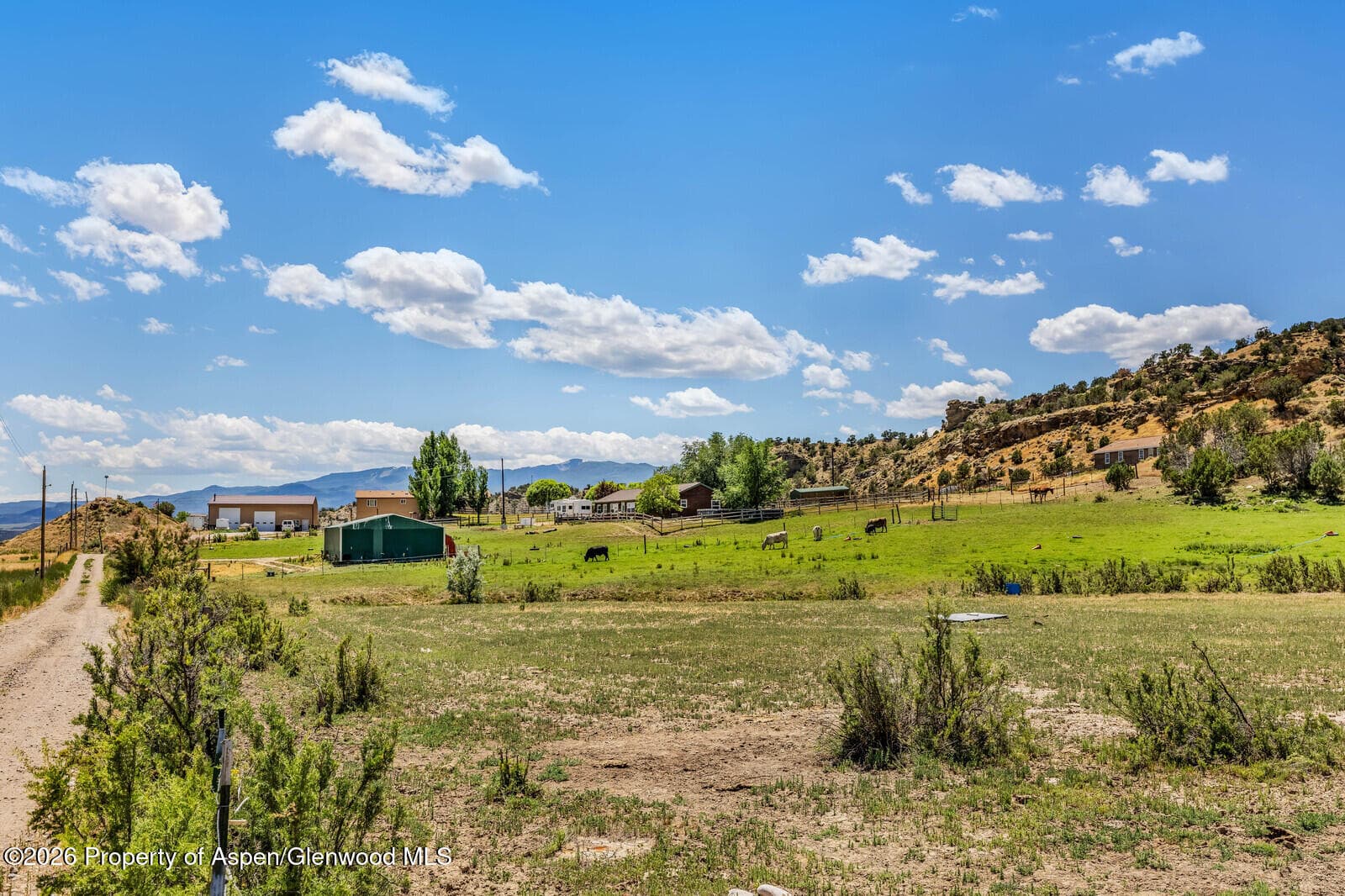 2880 County Road 233, Rifle, CO 81650 - Photo 42