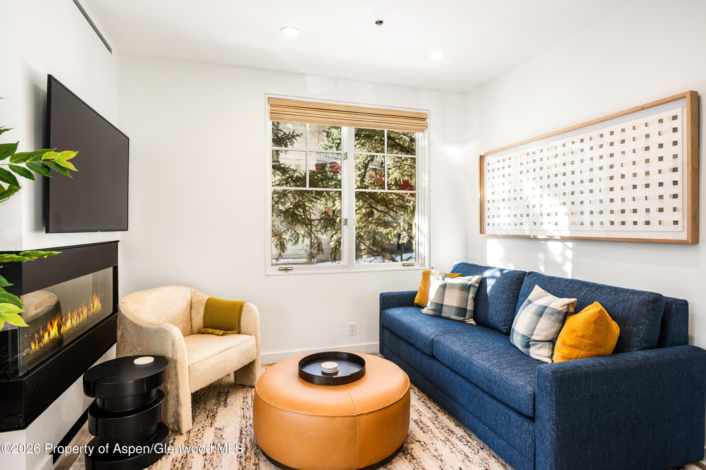 501 W Main Street A101, Aspen, CO 81611 - Photo 2