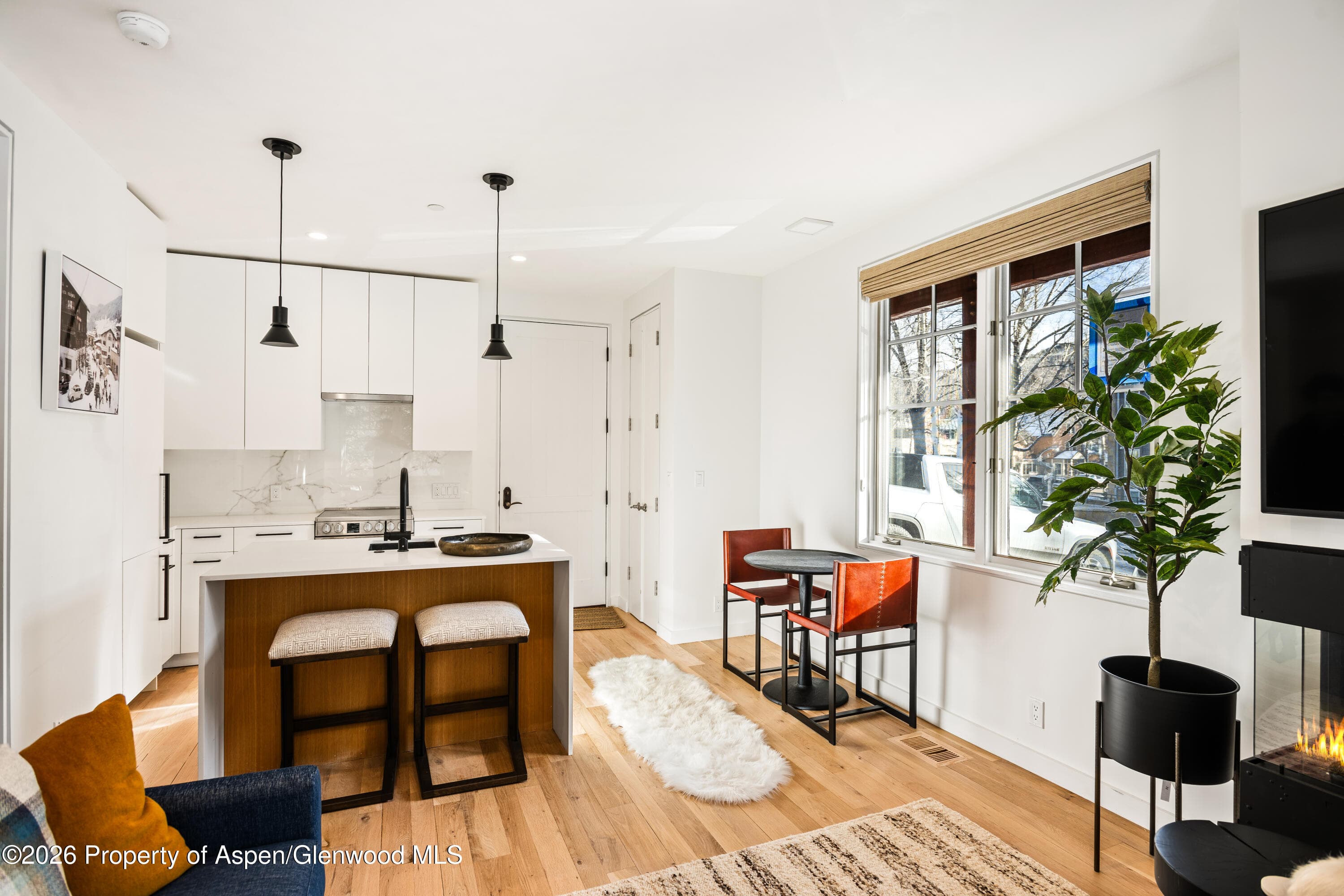 501 W Main Street A101, Aspen, CO 81611 - Photo 4