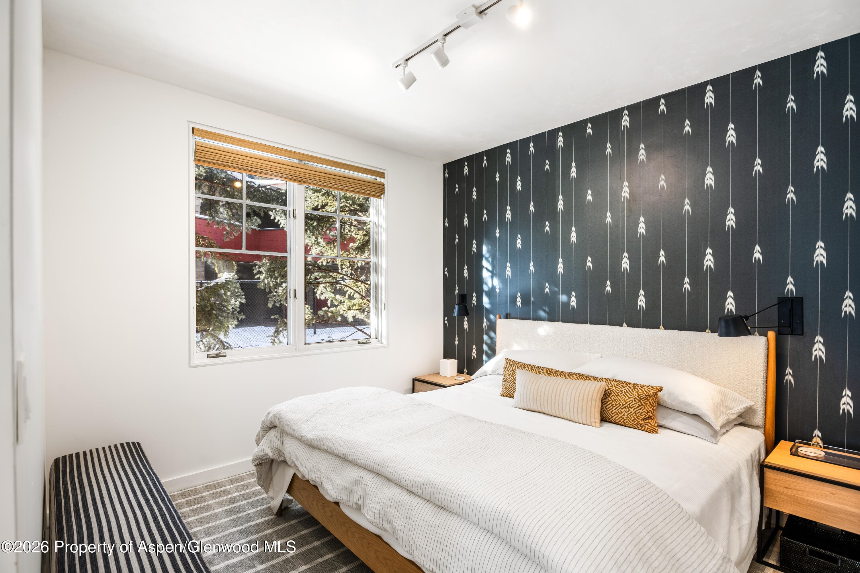 501 W Main Street A101, Aspen, CO 81611 - Photo 6