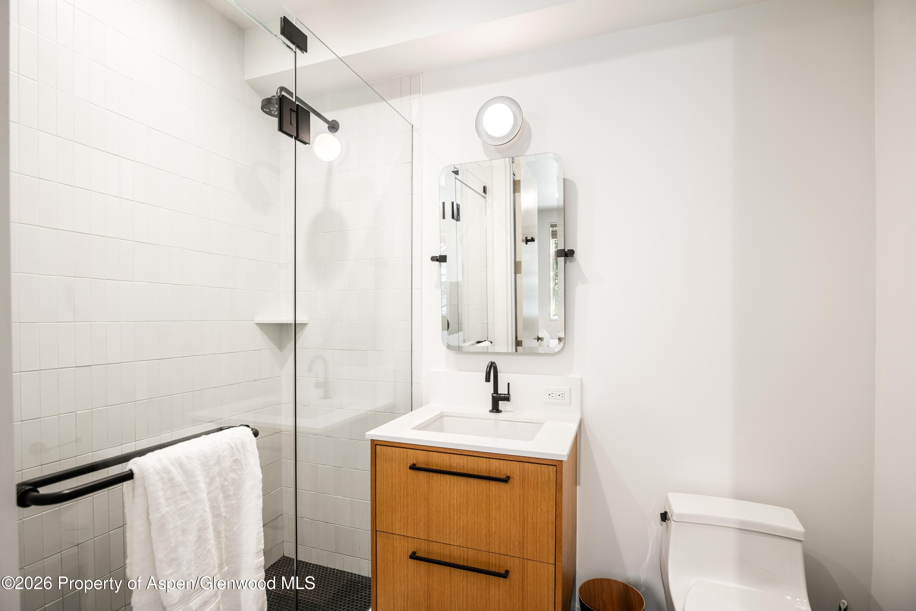 501 W Main Street A101, Aspen, CO 81611 - Photo 7