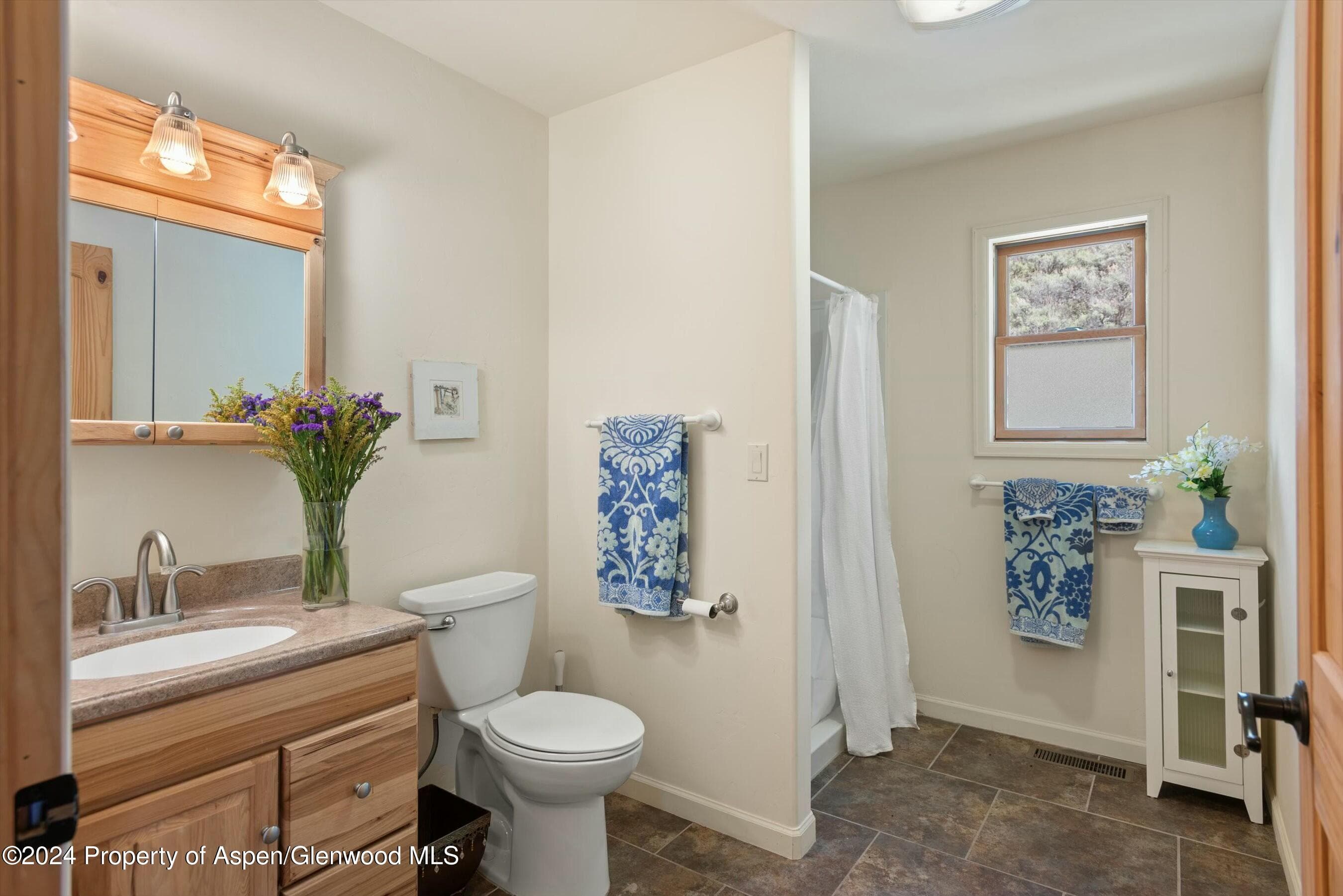 9200 County Road 113, Carbondale, CO 81623 - Photo 6