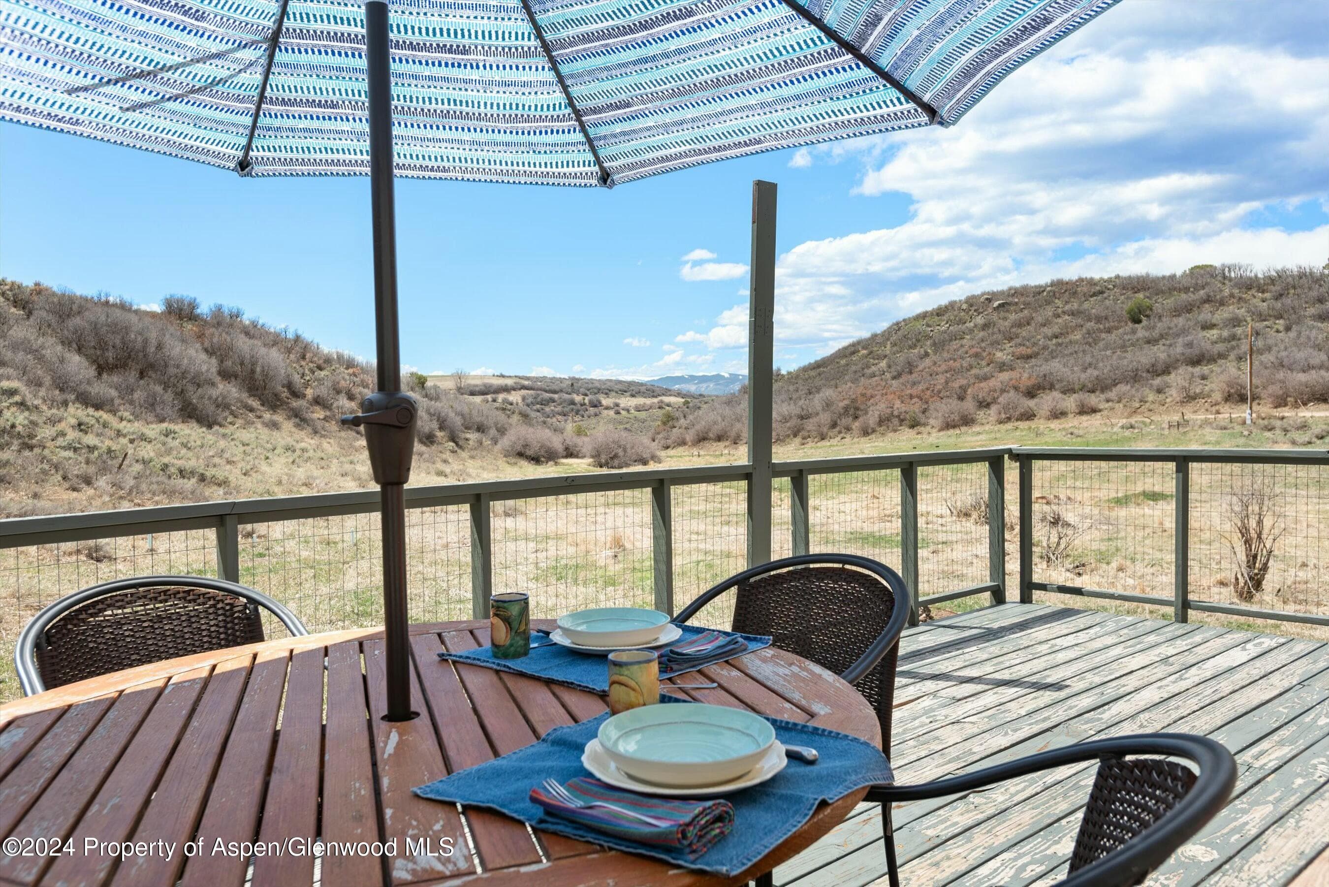 9200 County Road 113, Carbondale, CO 81623 - Photo 8