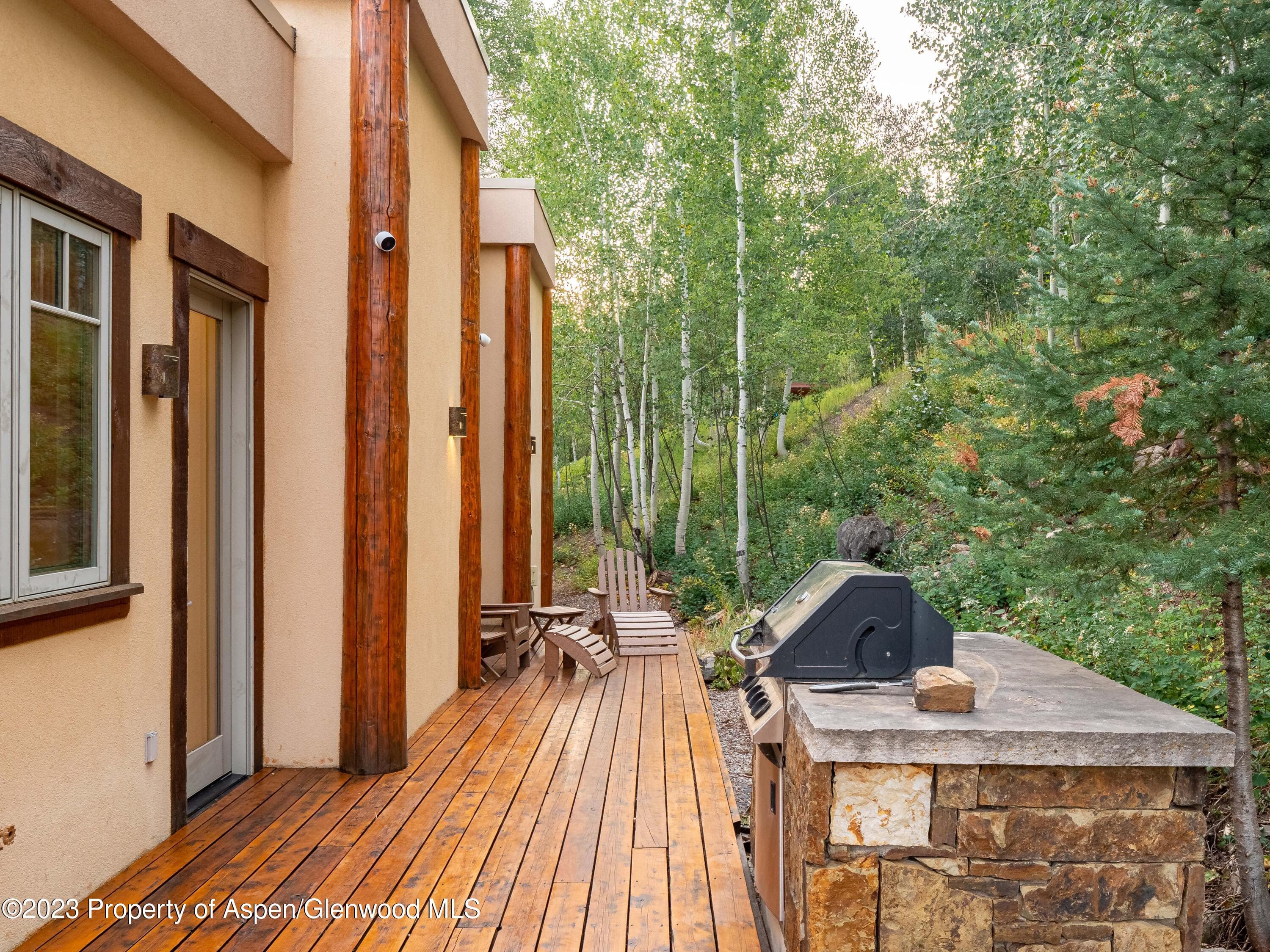 40 Maple Ridge Lane, Snowmass Village, CO 81615 - Photo 33