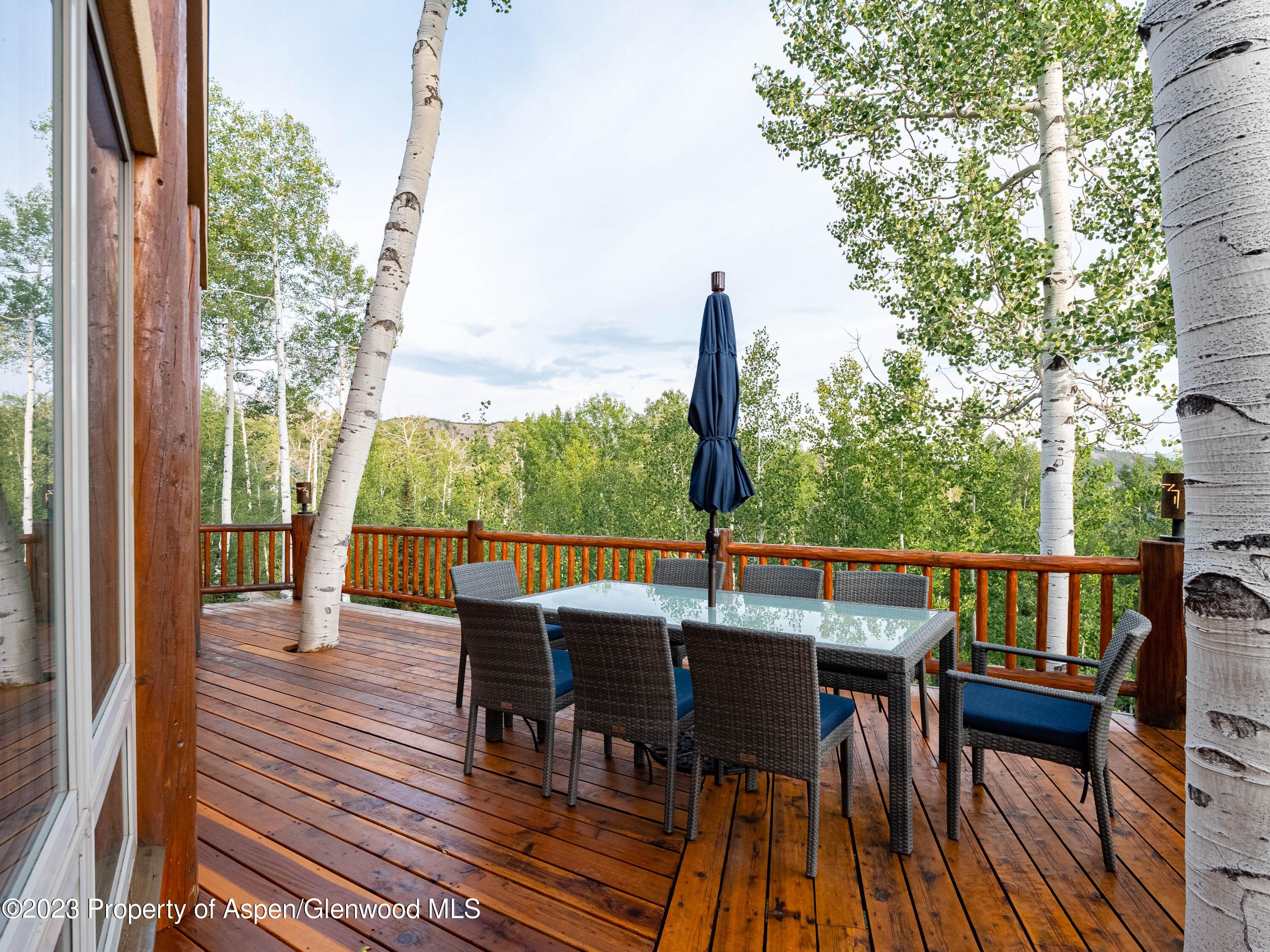 40 Maple Ridge Lane, Snowmass Village, CO 81615 - Photo 37