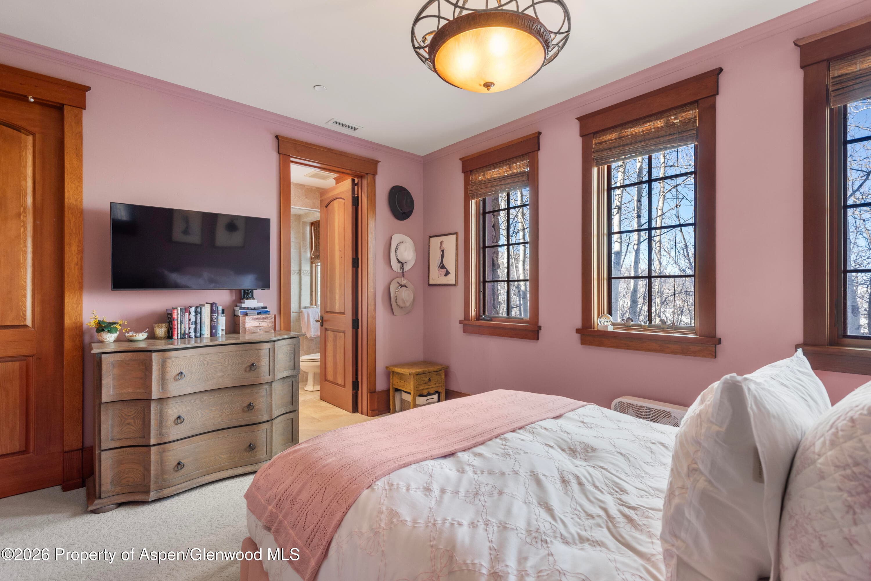 170 Falcon Road, Aspen, CO 81611 - Photo 27
