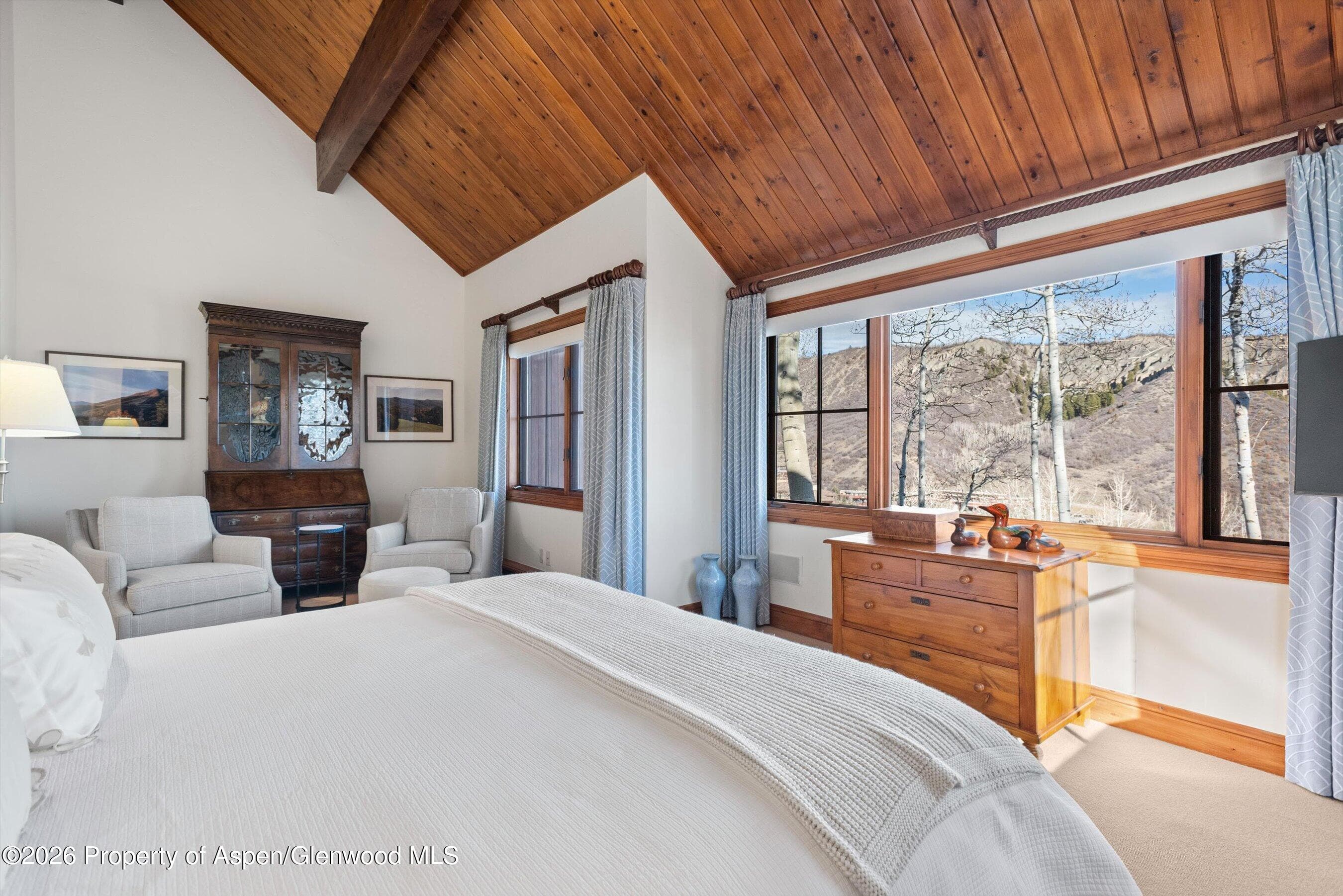 364 Ridge Road, Snowmass Village, CO 81615 - Photo 18