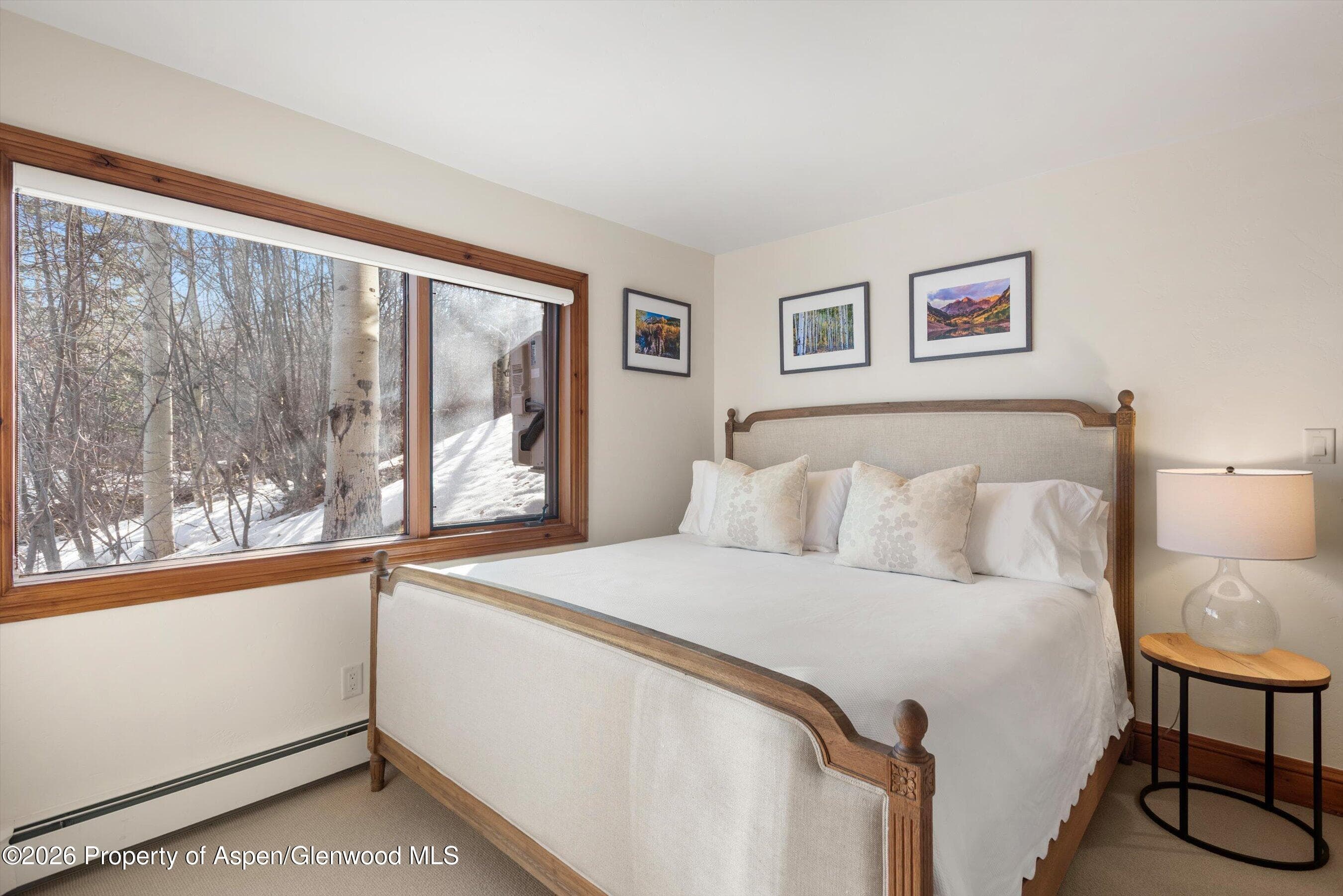 364 Ridge Road, Snowmass Village, CO 81615 - Photo 29