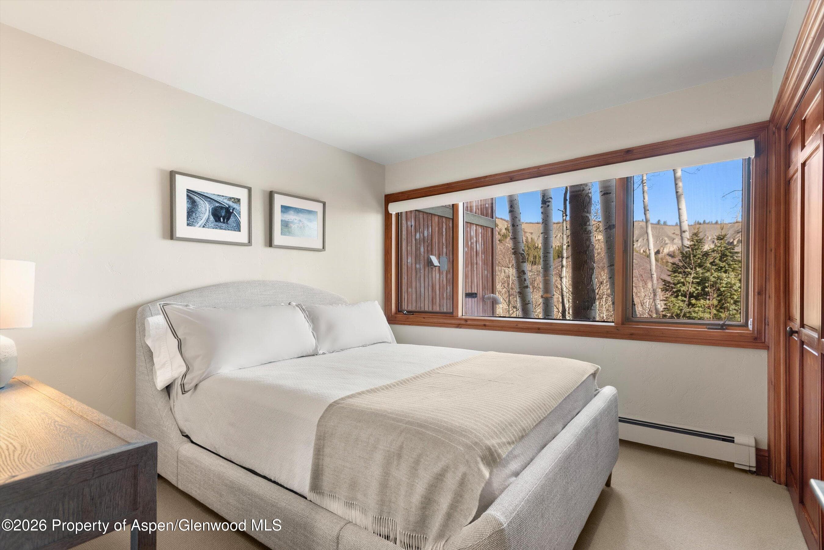 364 Ridge Road, Snowmass Village, CO 81615 - Photo 31