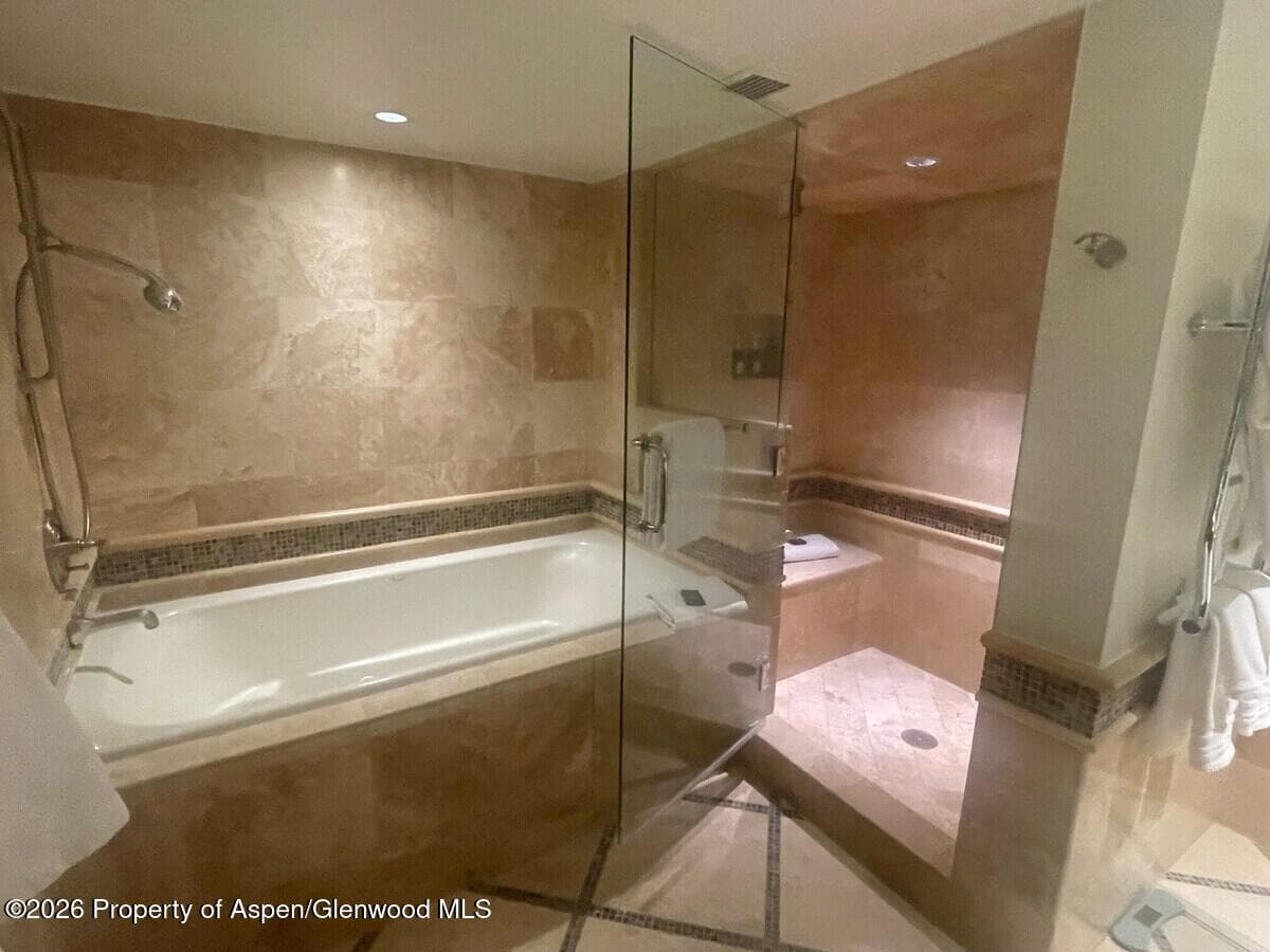 315 E Dean Street, Aspen, CO 81611 - Photo 19